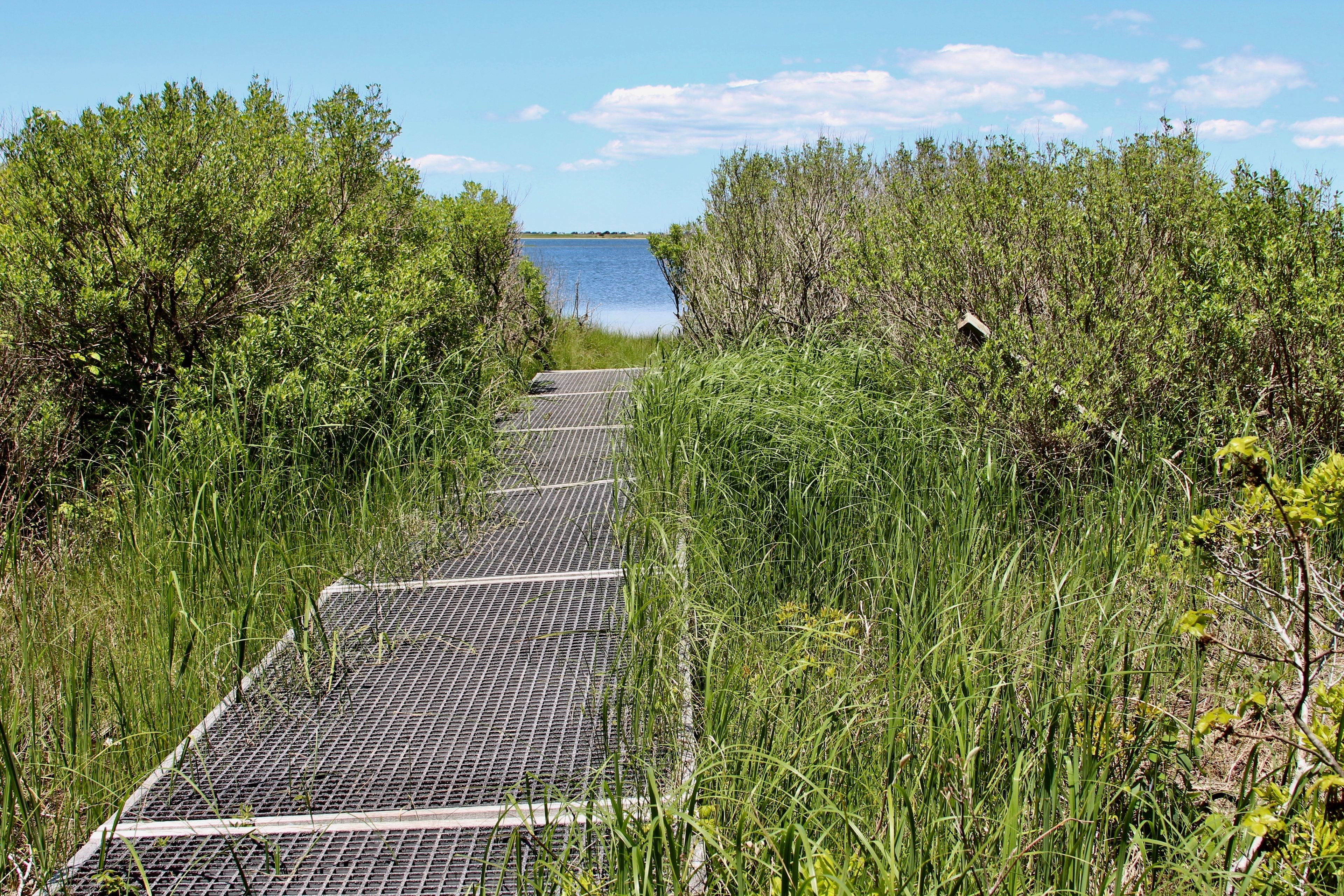 boardwalk