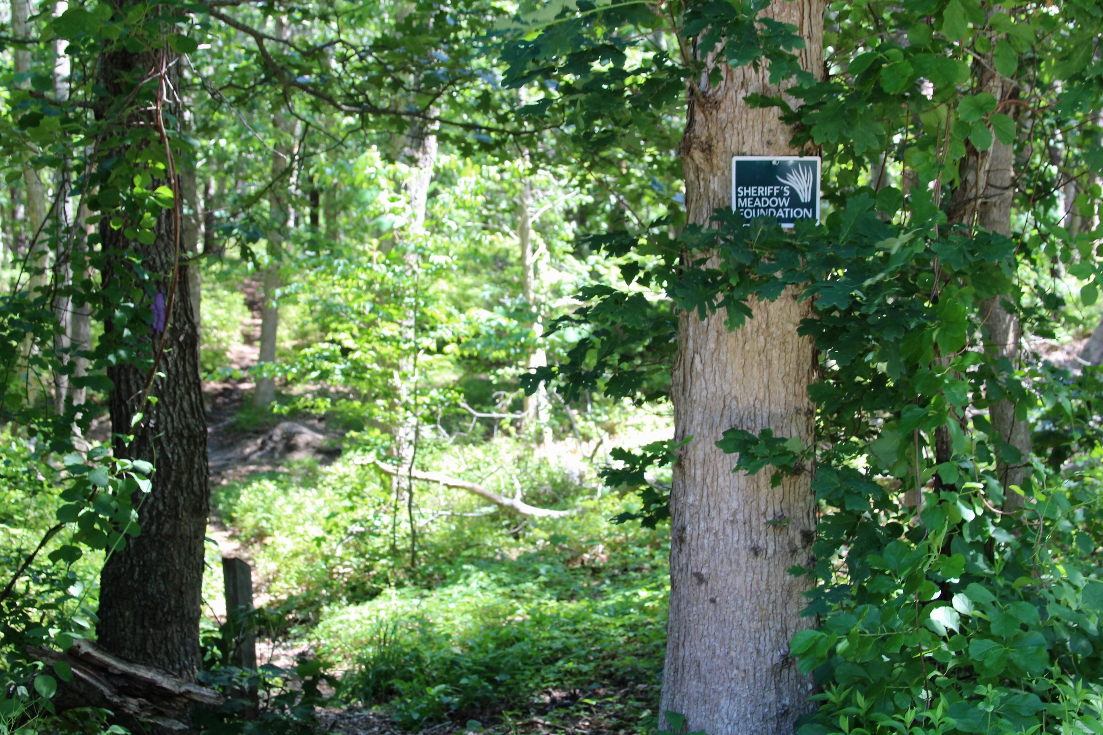 sign at 22nd Street