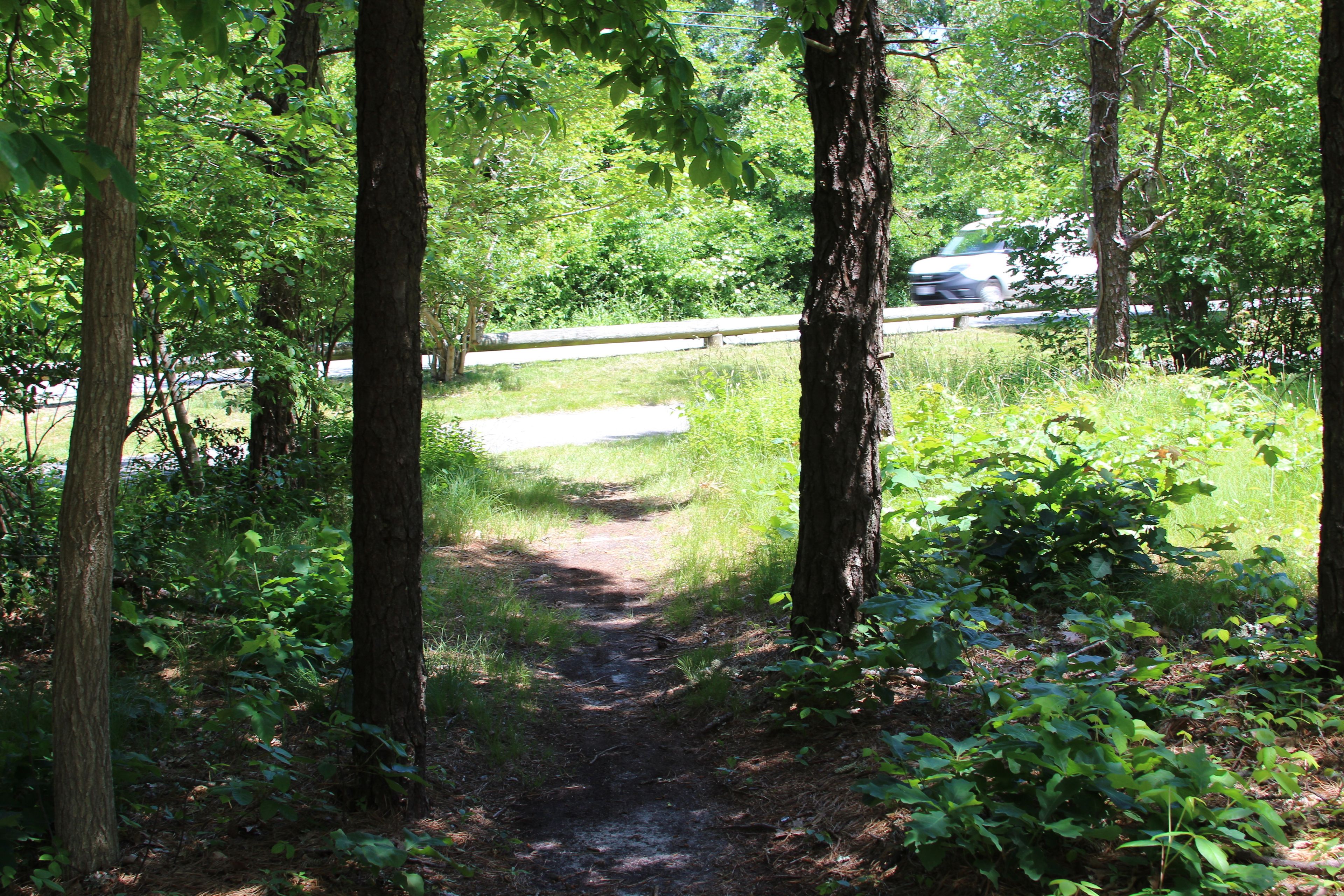 at Beach Road bike path