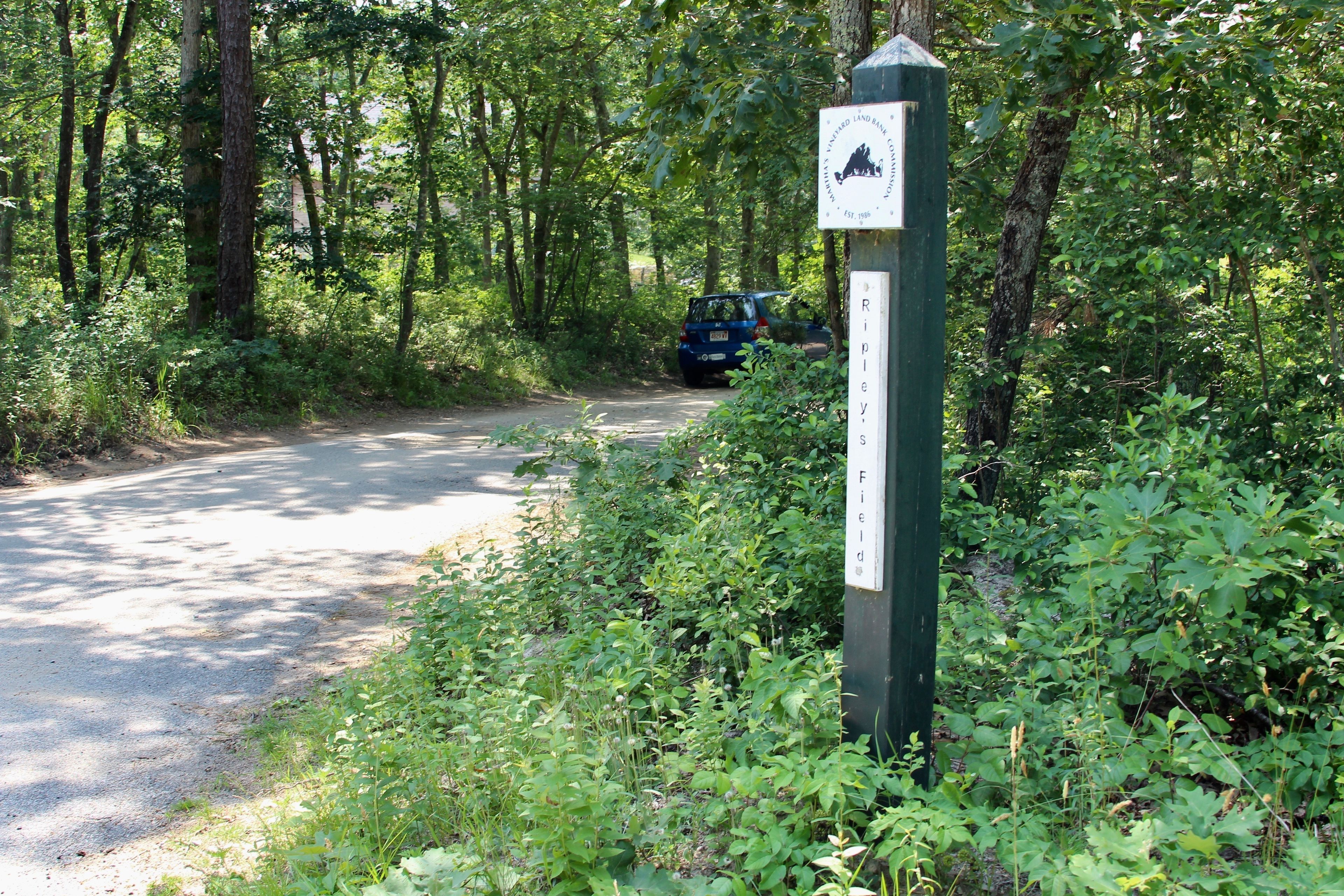 sign at Lambert's Cove Road