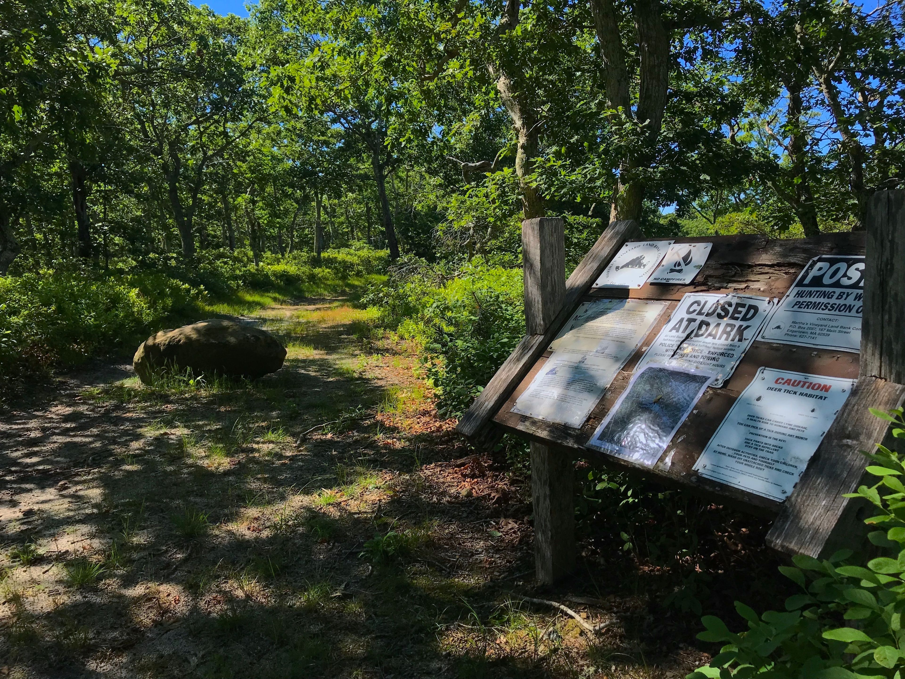 One entry points from parking lot to Three Cornered Rock Road