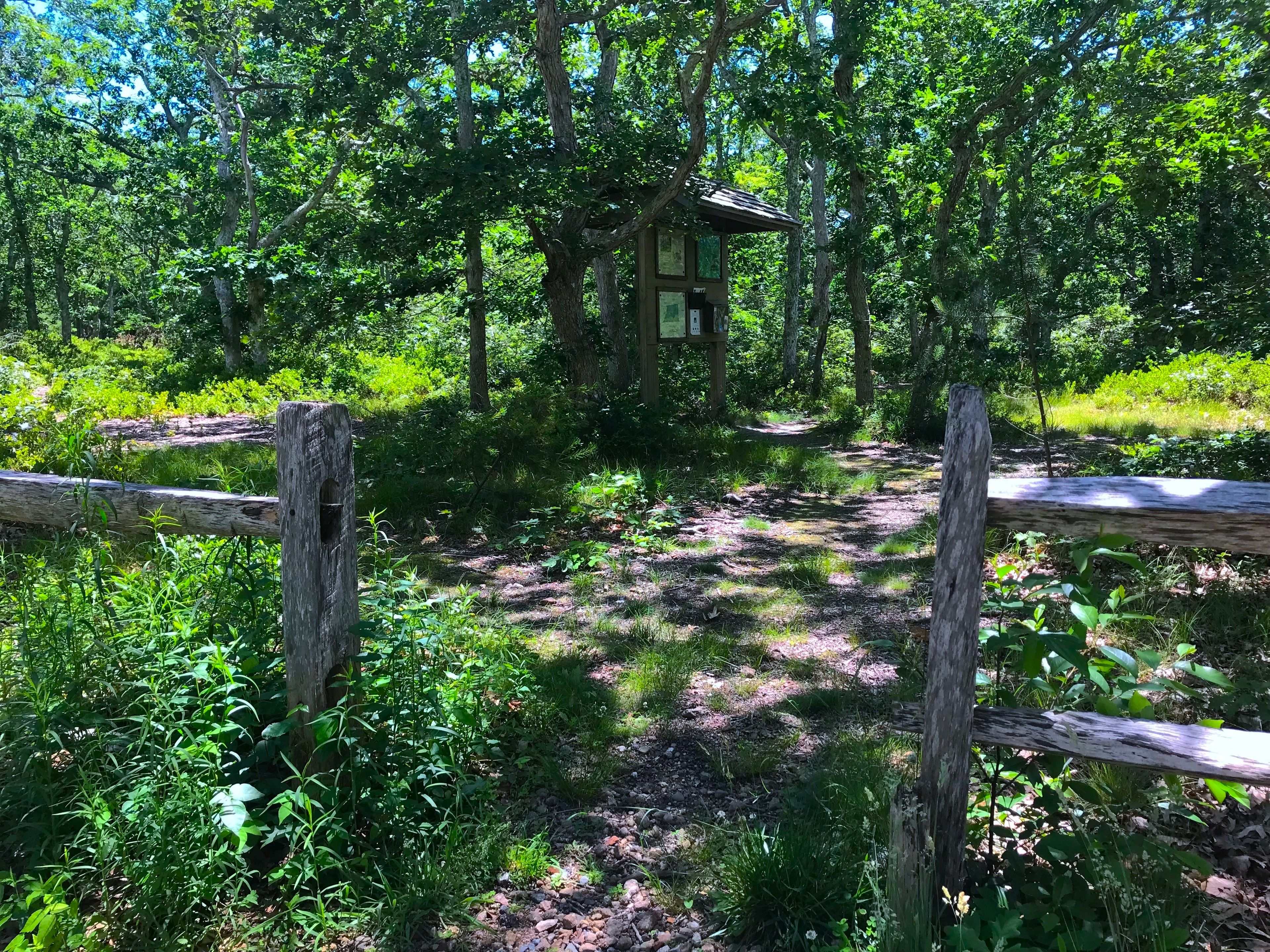 View of the Fire loop kiosk from the parking lot.