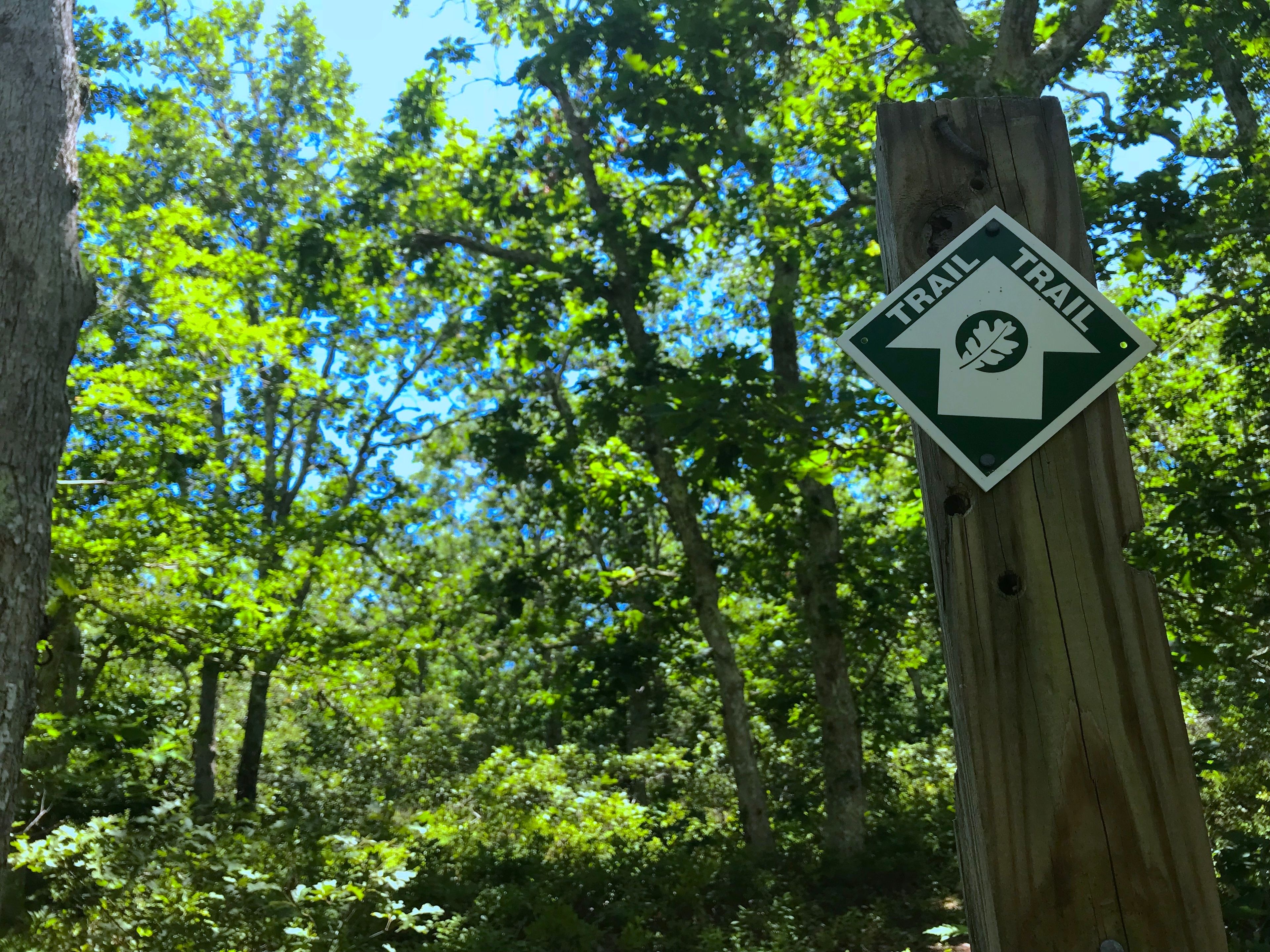 Marked trail sign on the Fire Loop trail