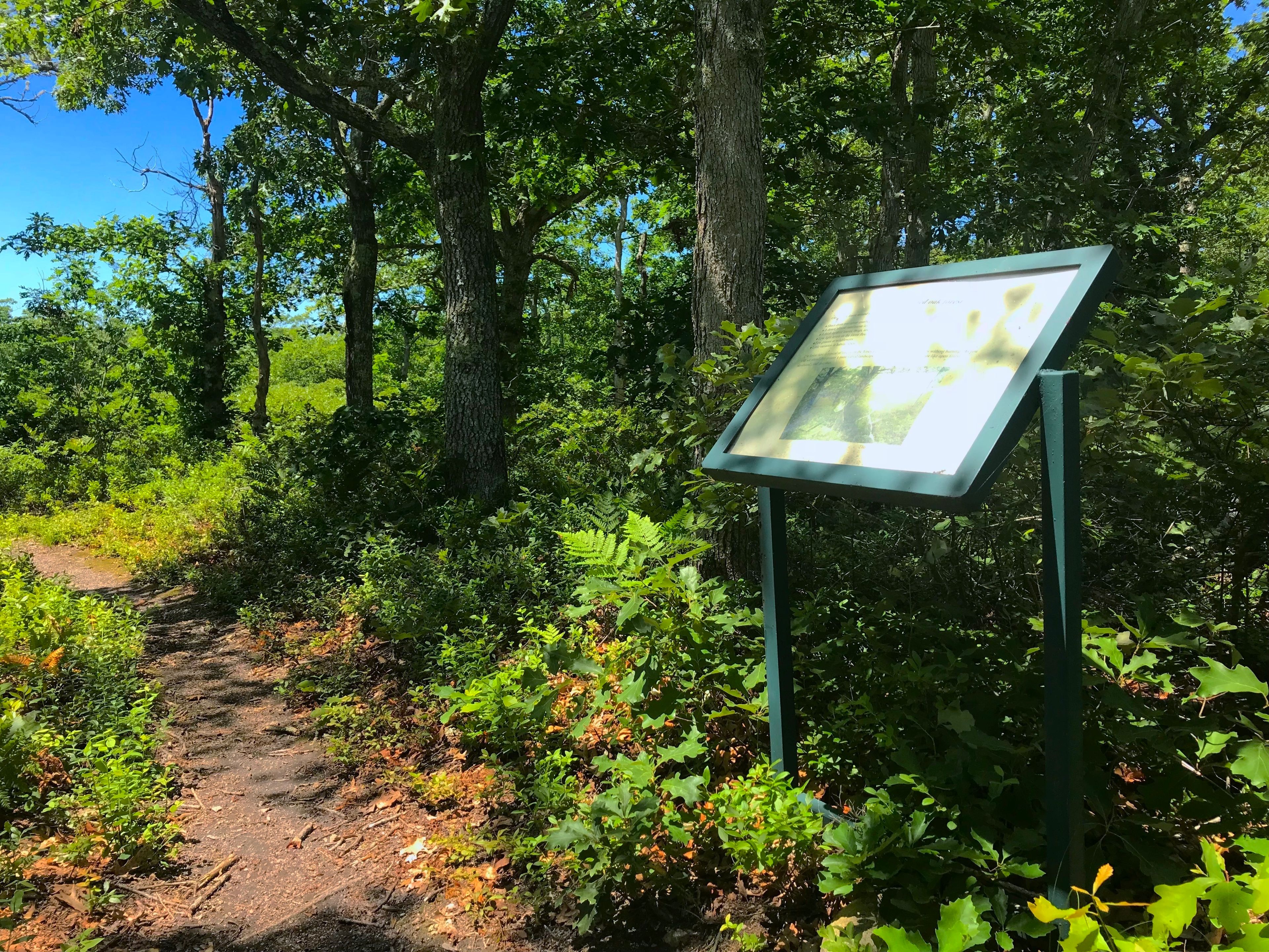 sign along trail