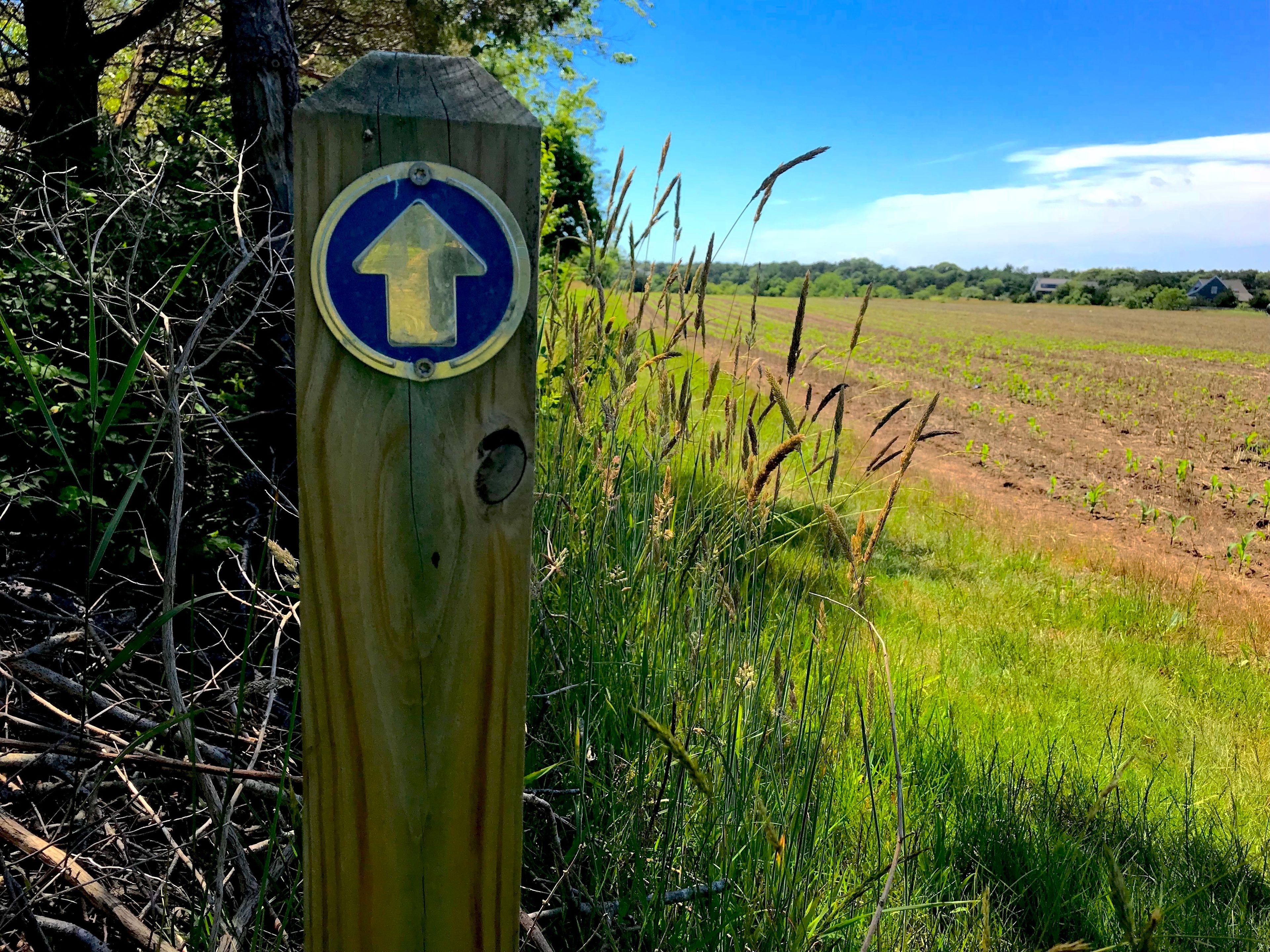 sign along trail