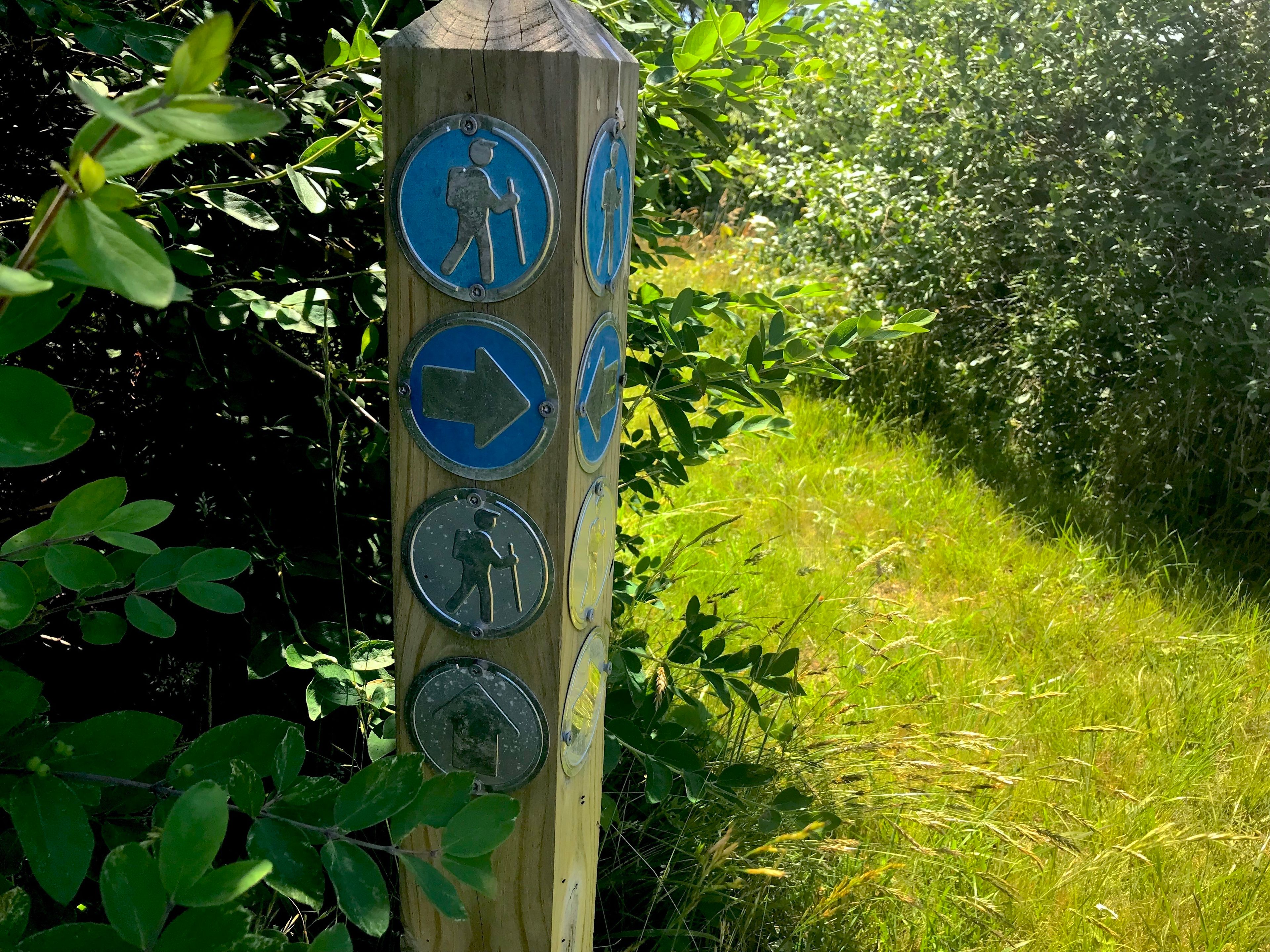 Trail sign leading toward another trail to straight ahead or to continue on this trail.