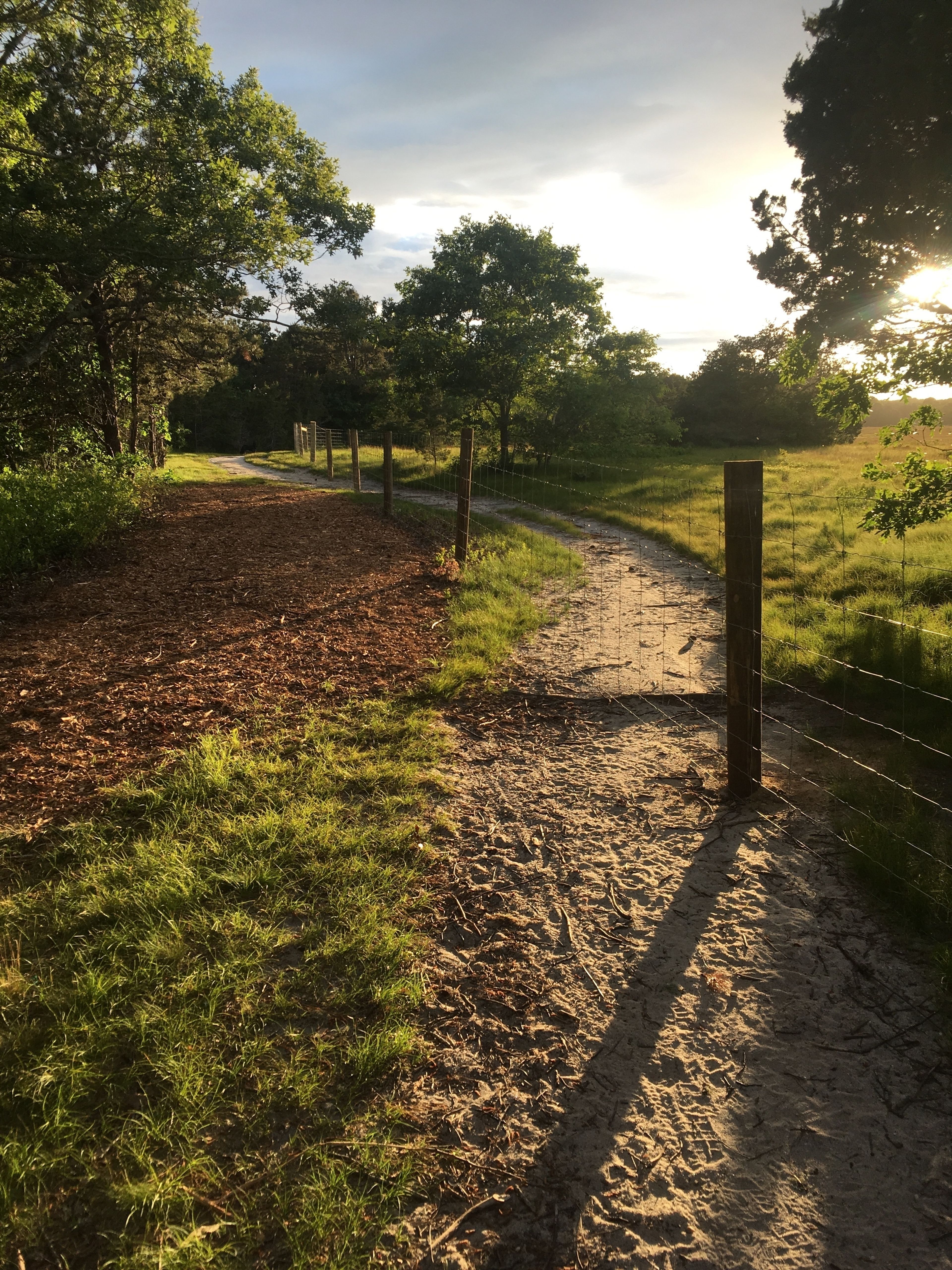 new trail in place