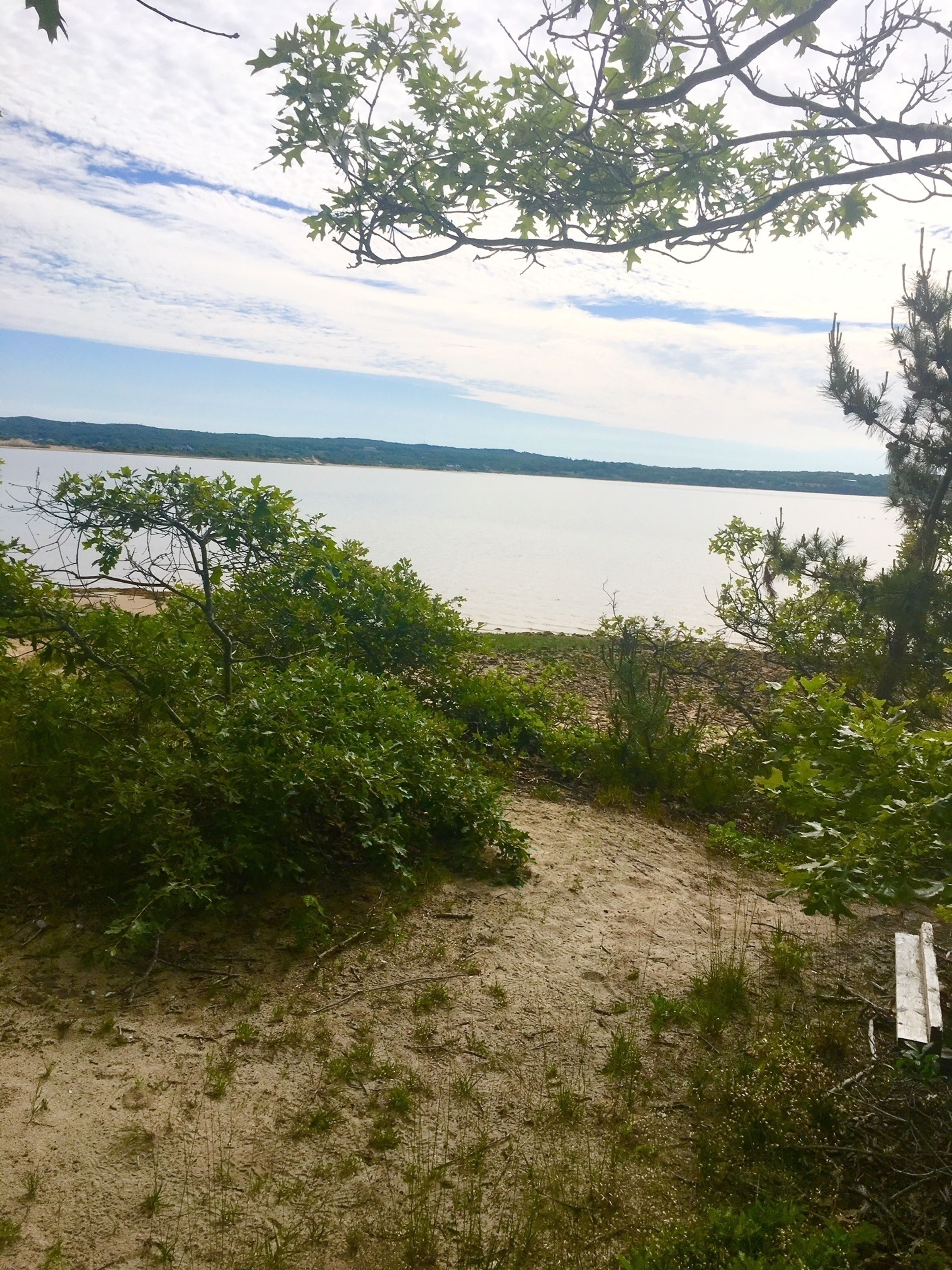 Menemsha Pond