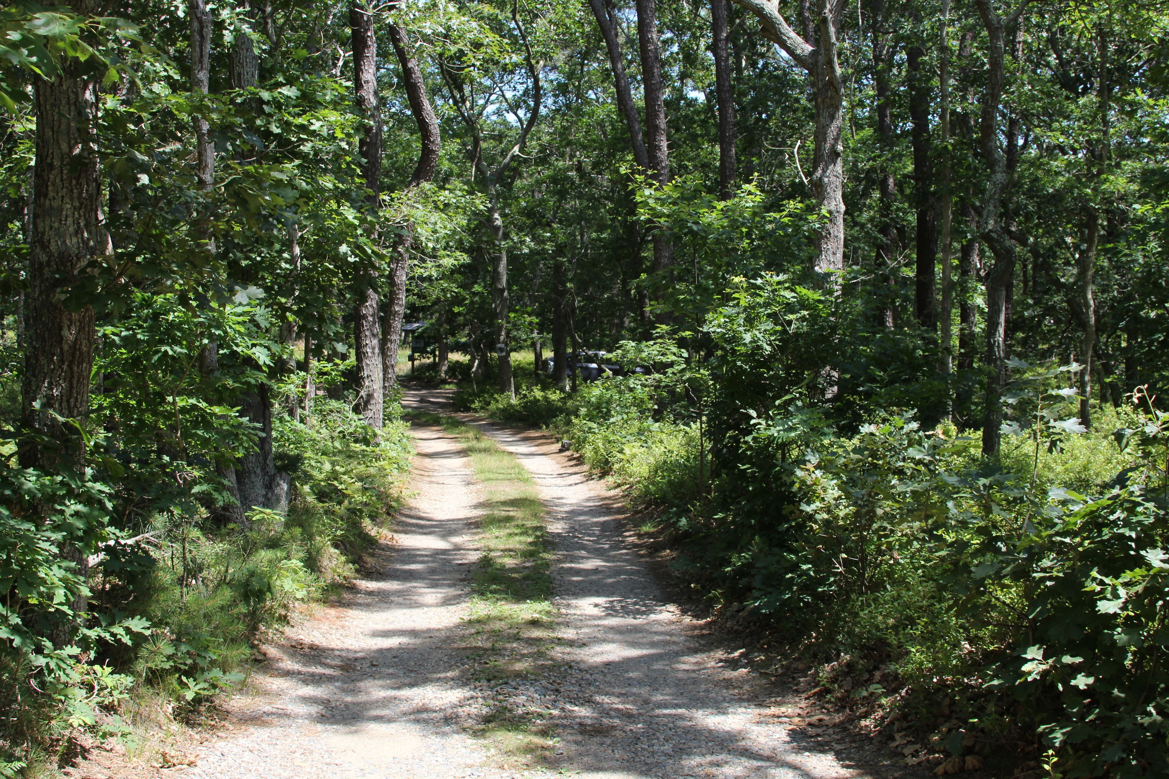 Access road off of Franklin Street