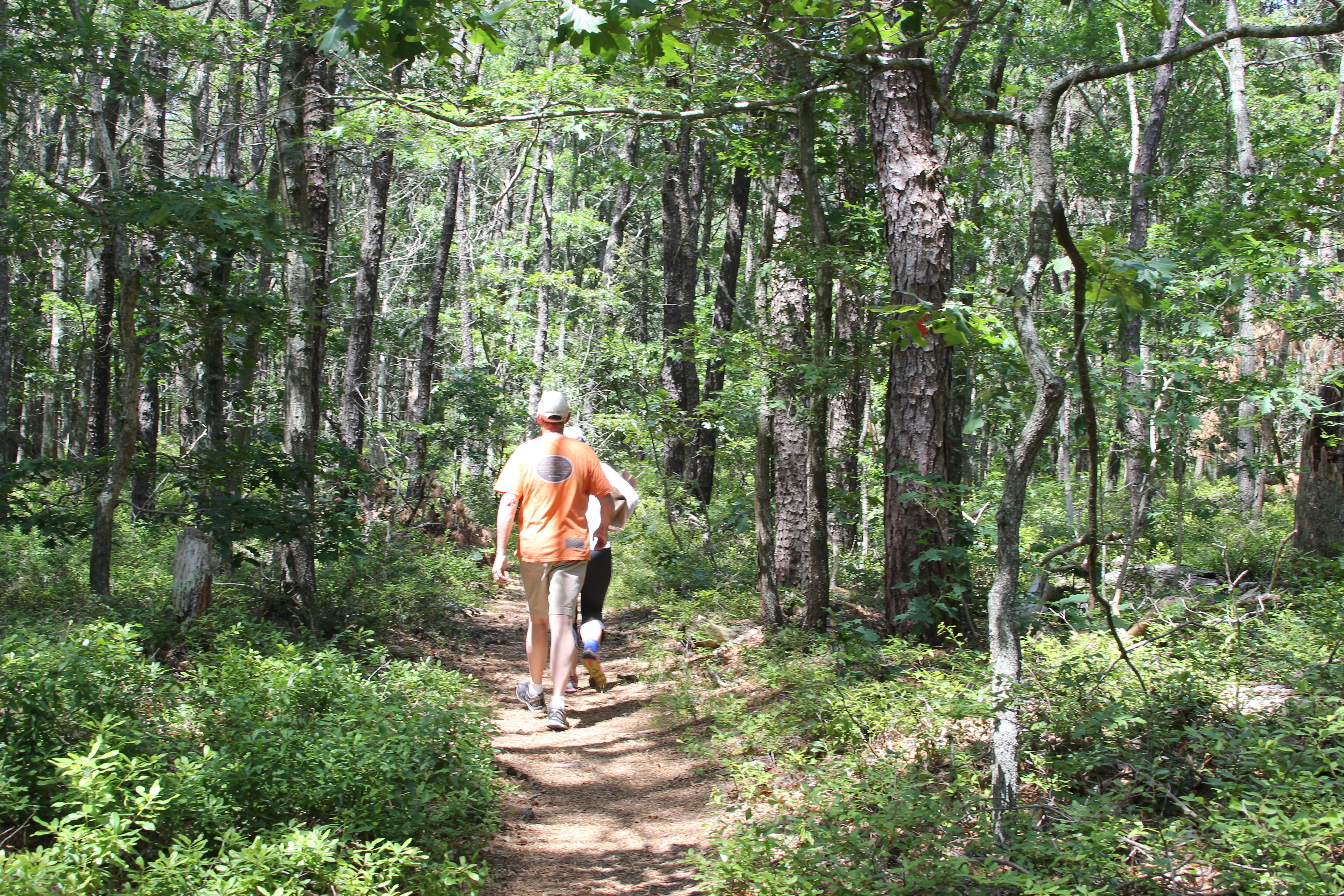 near intersection with Blue trail