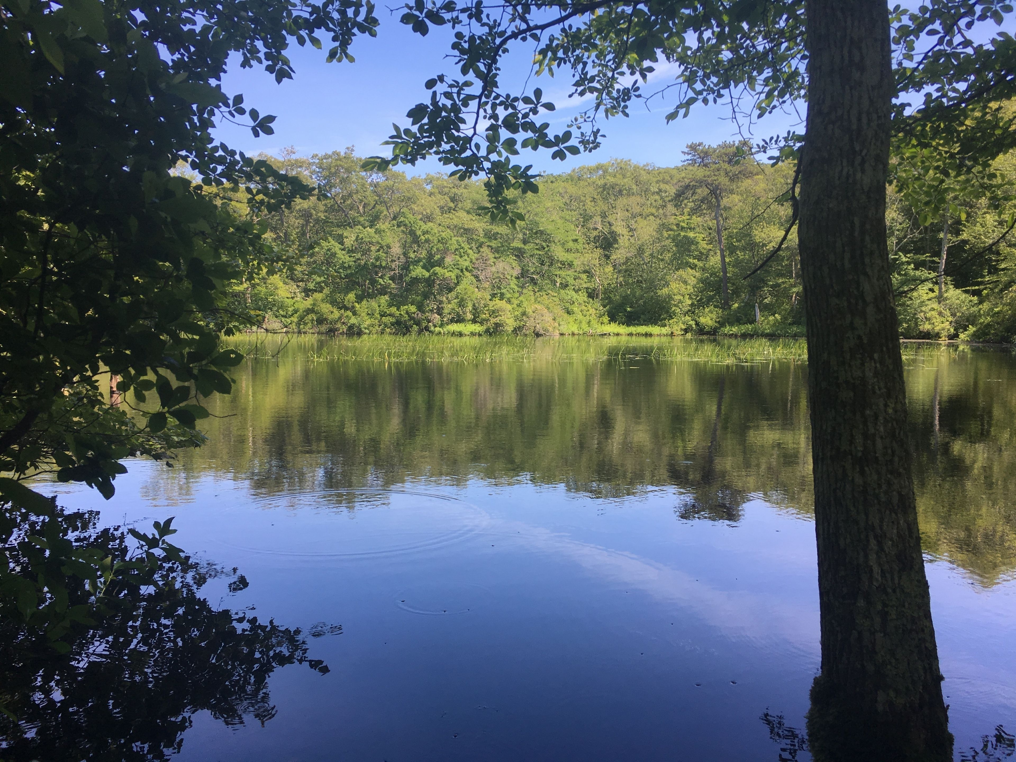 Ames Pond