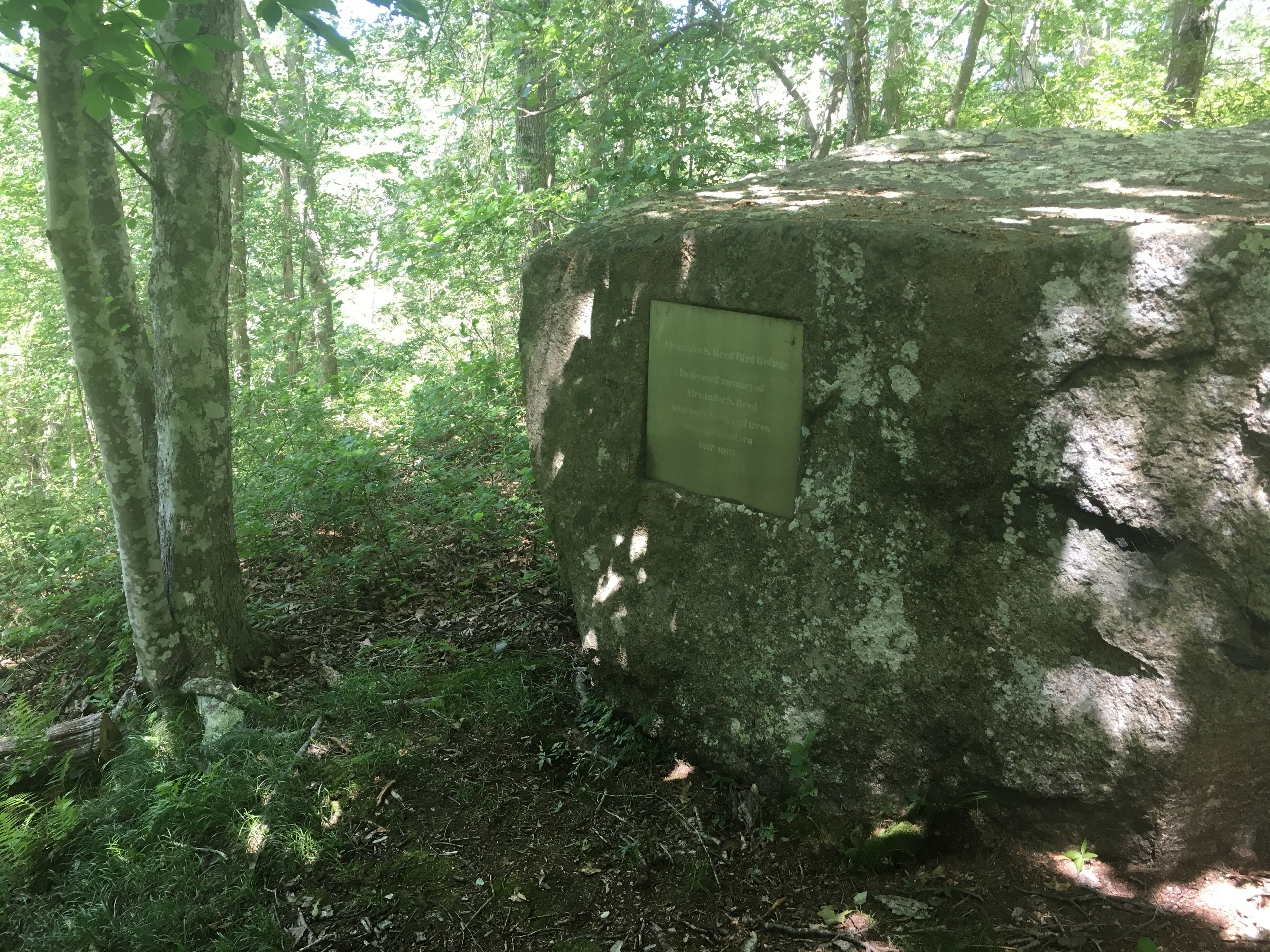 Boulder with AS Reed plaque