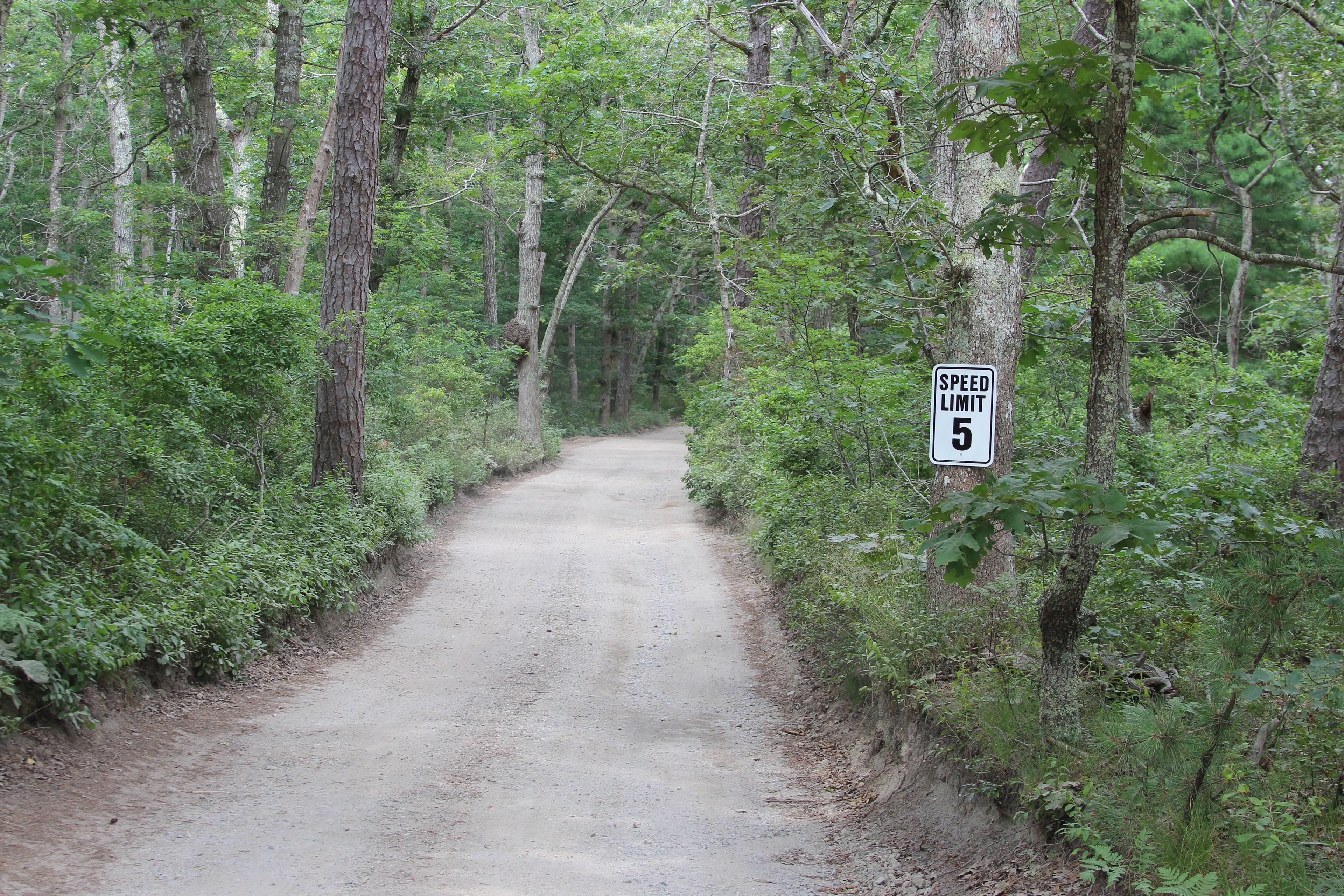 beginning of Herring Creek Road at Daggett Ave