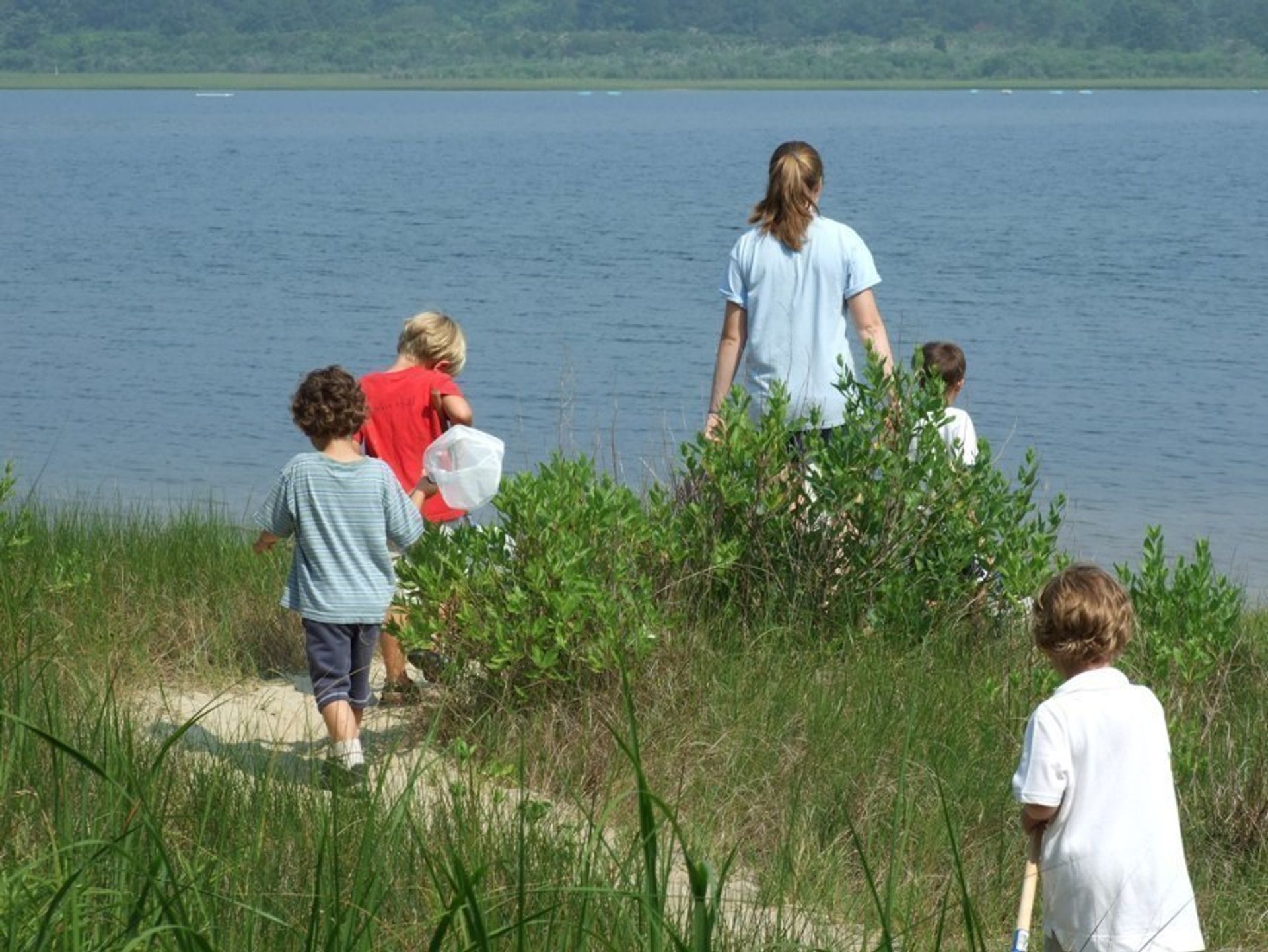 Shad trail at water