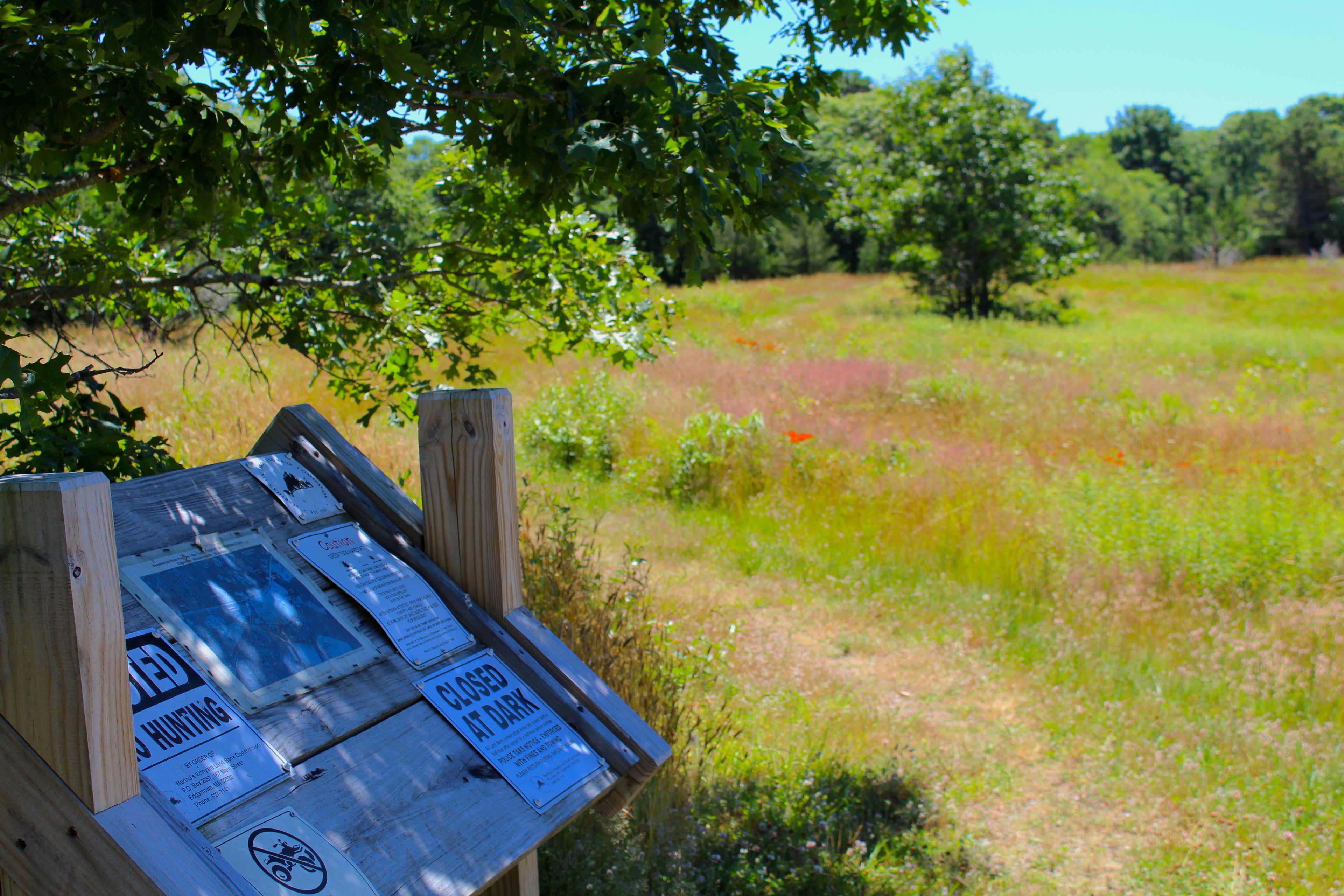 kiosk at trailhead