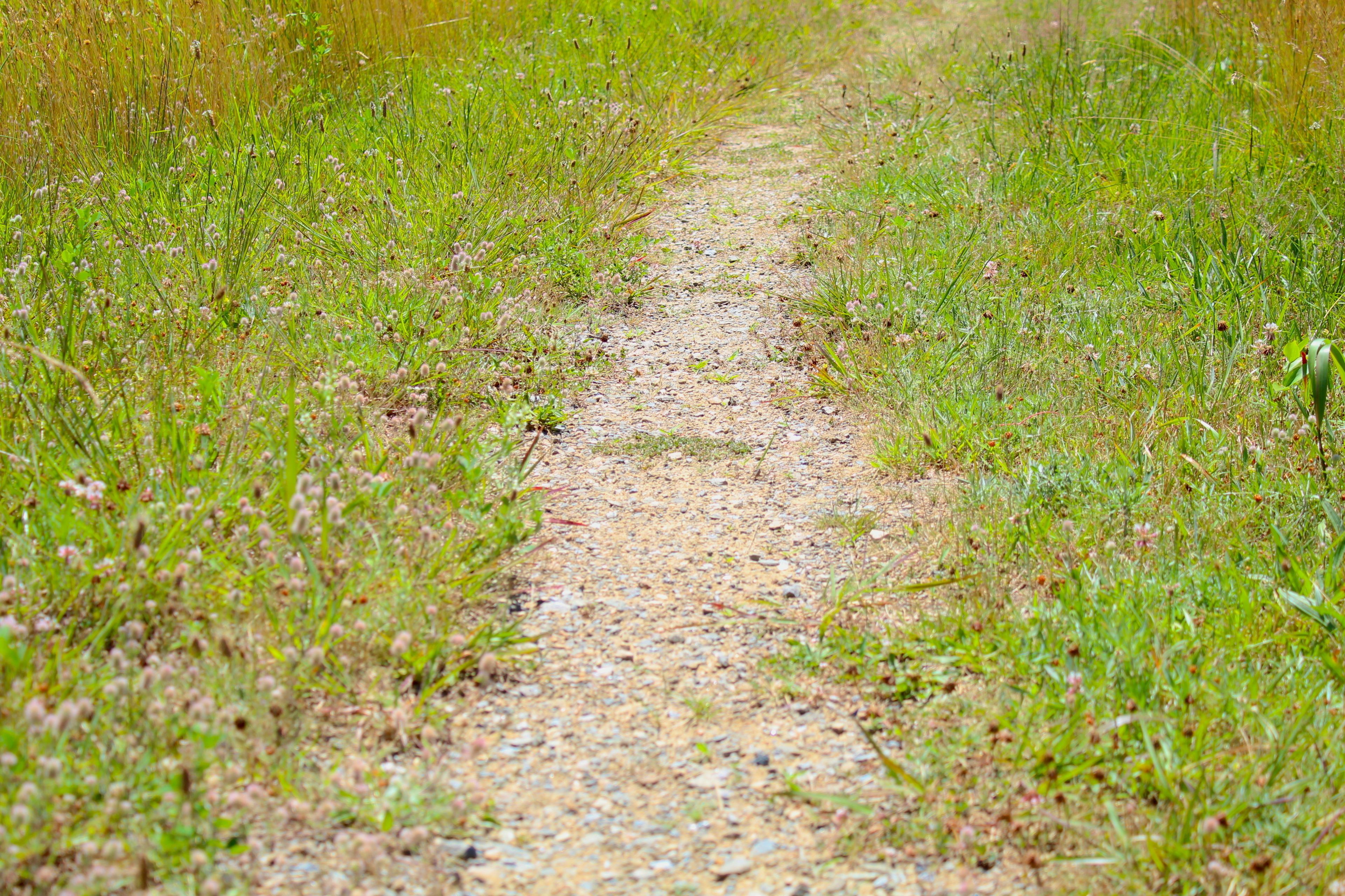 gravel trail