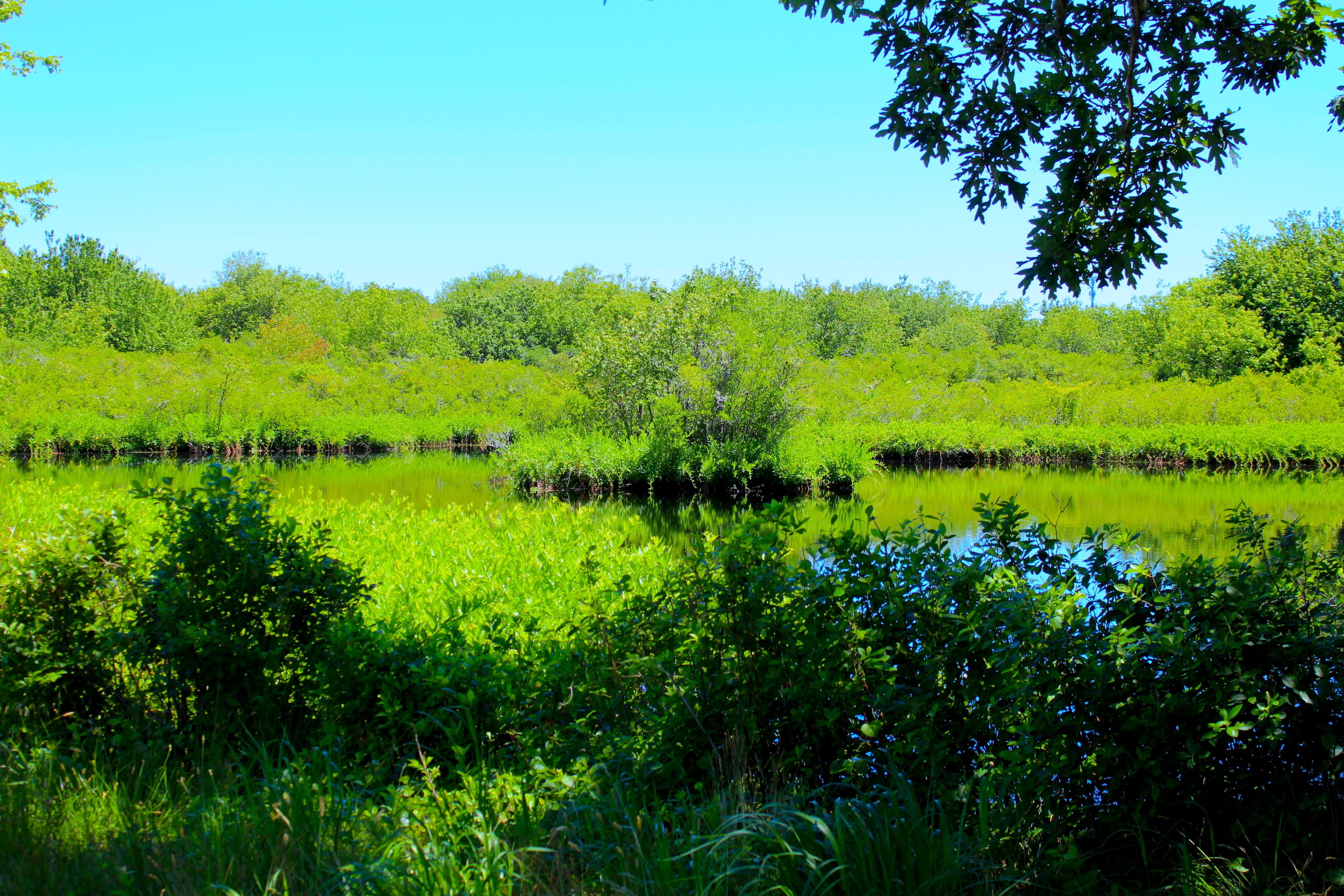 view of water