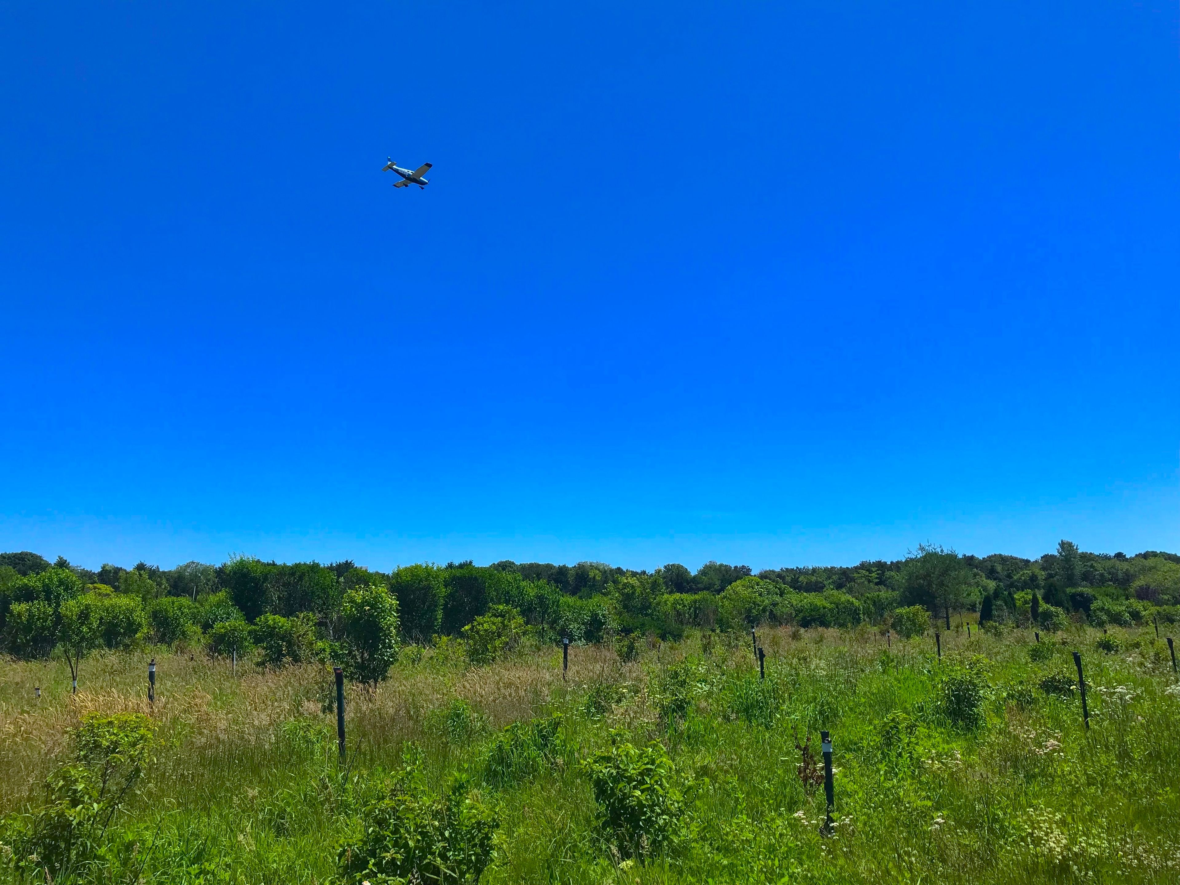 field view