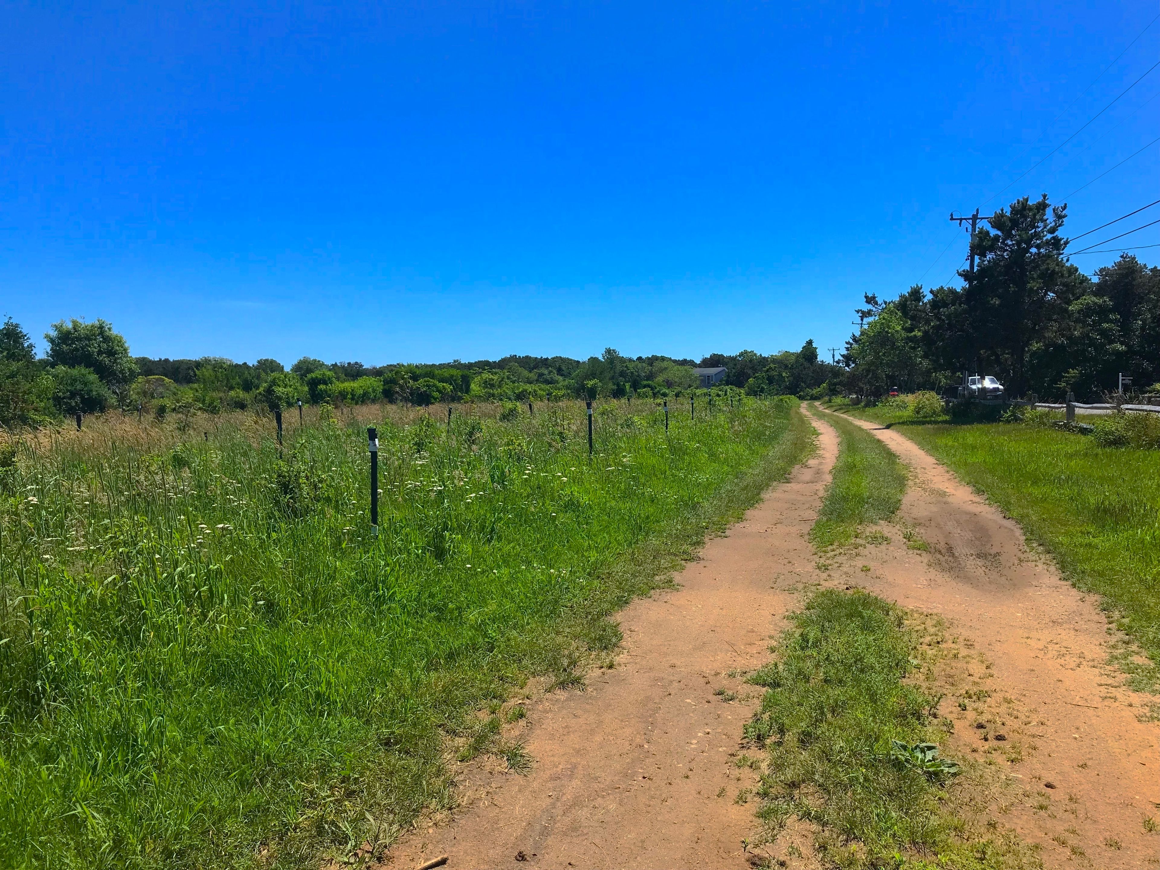 dirt road