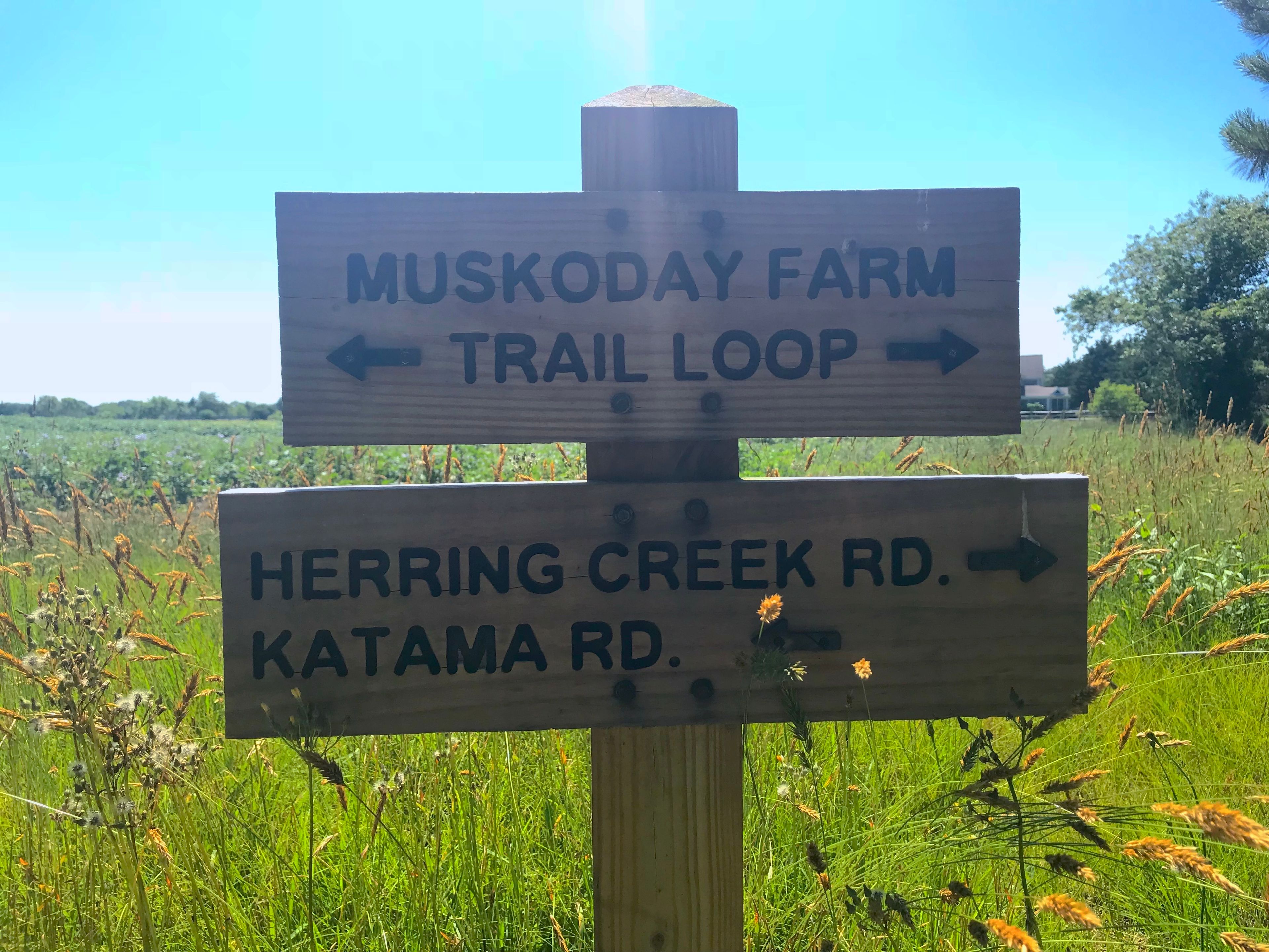 sign along trail