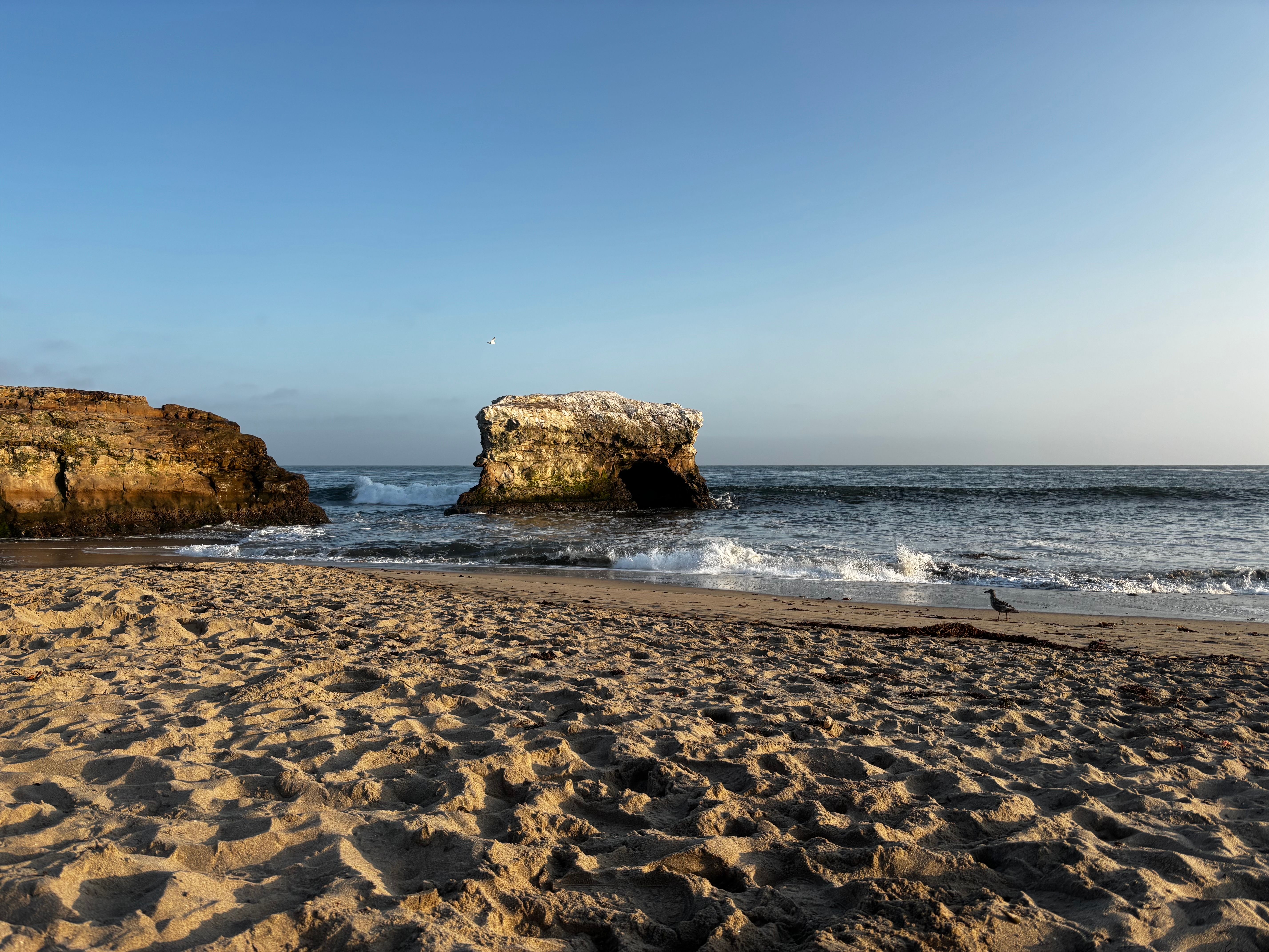 Natural Bridges State Beach - Social in California - OuterSpatial