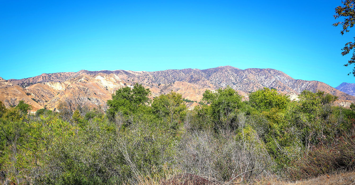 Tujunga Ponds Wildlife Sanctuary: Why This Sunland Escape is More Than Just a Birding Spot
