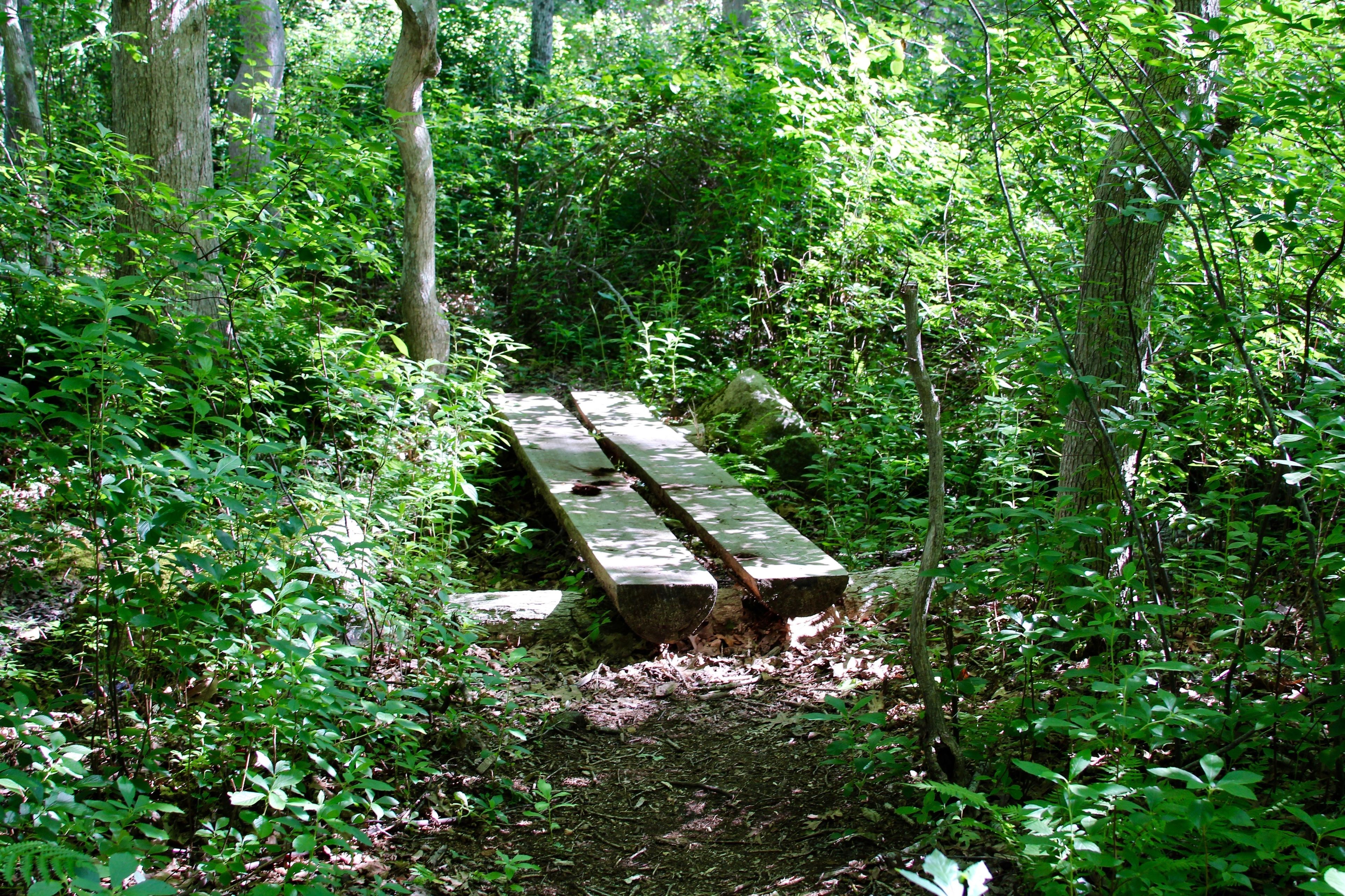 one of the footbridges