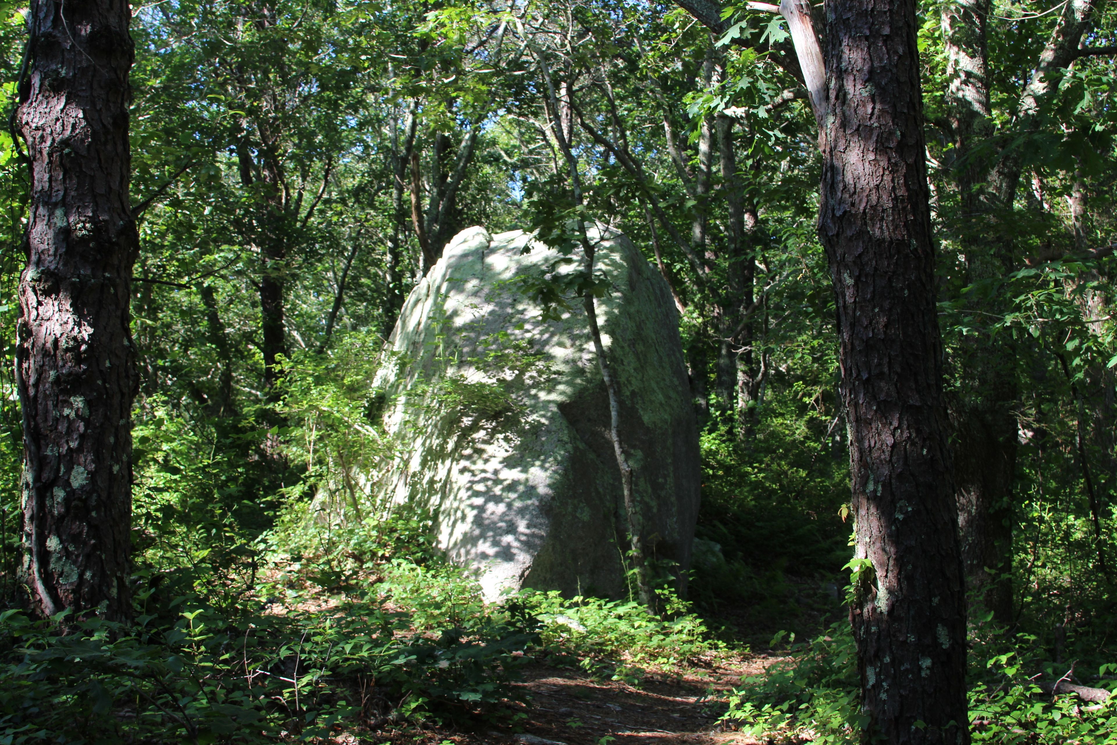 erratic alongside path