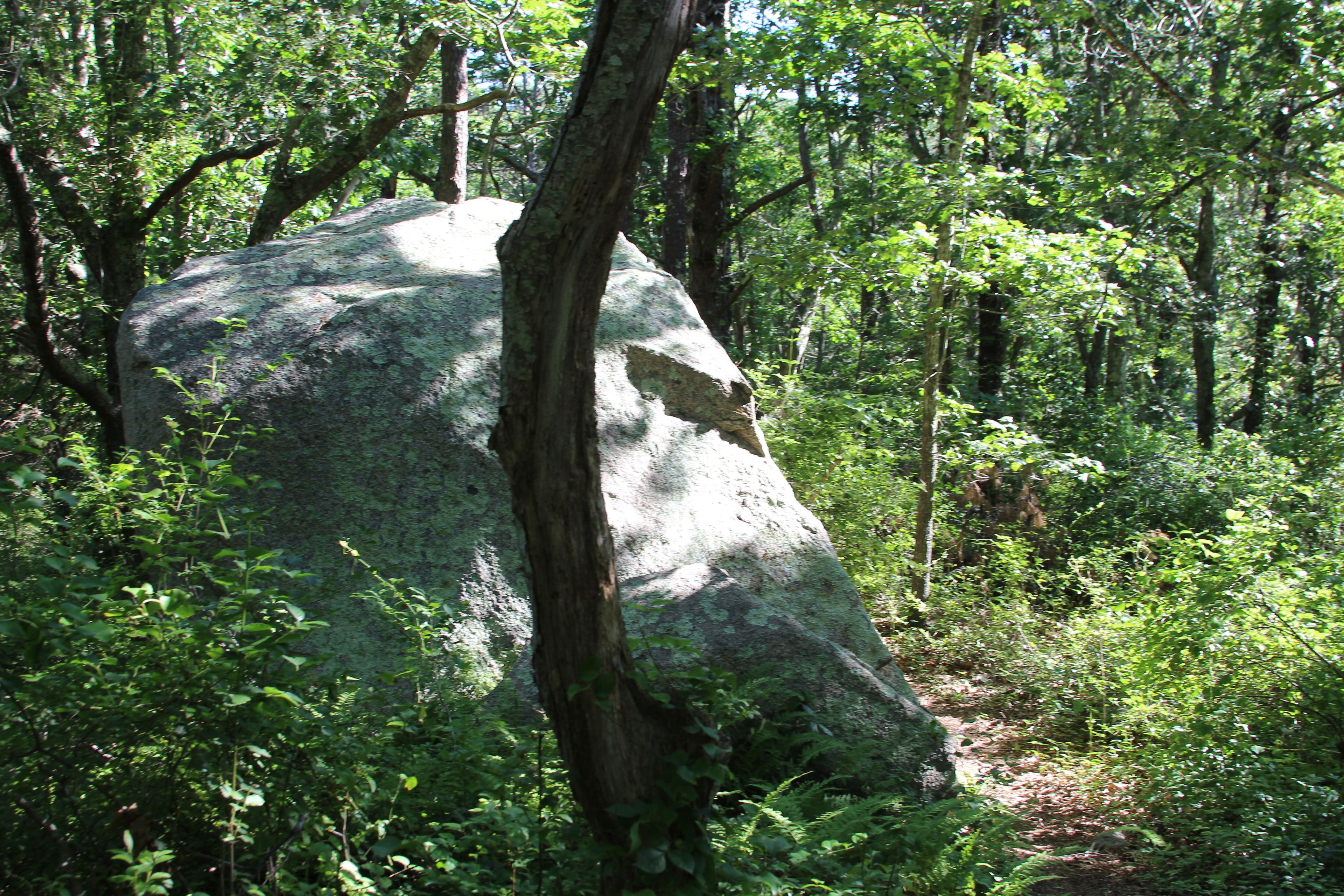 erratic alongside path