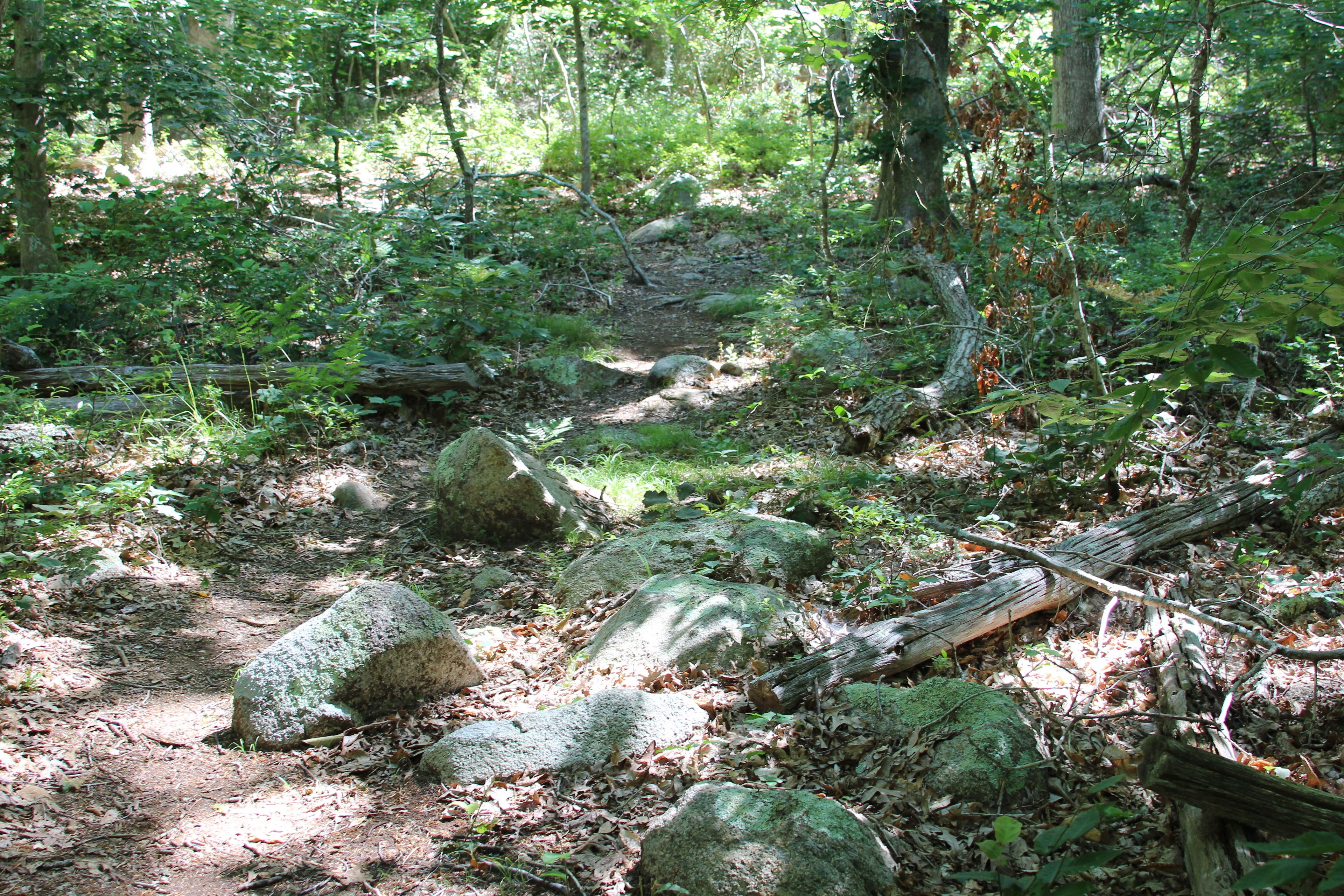 rocks along trail