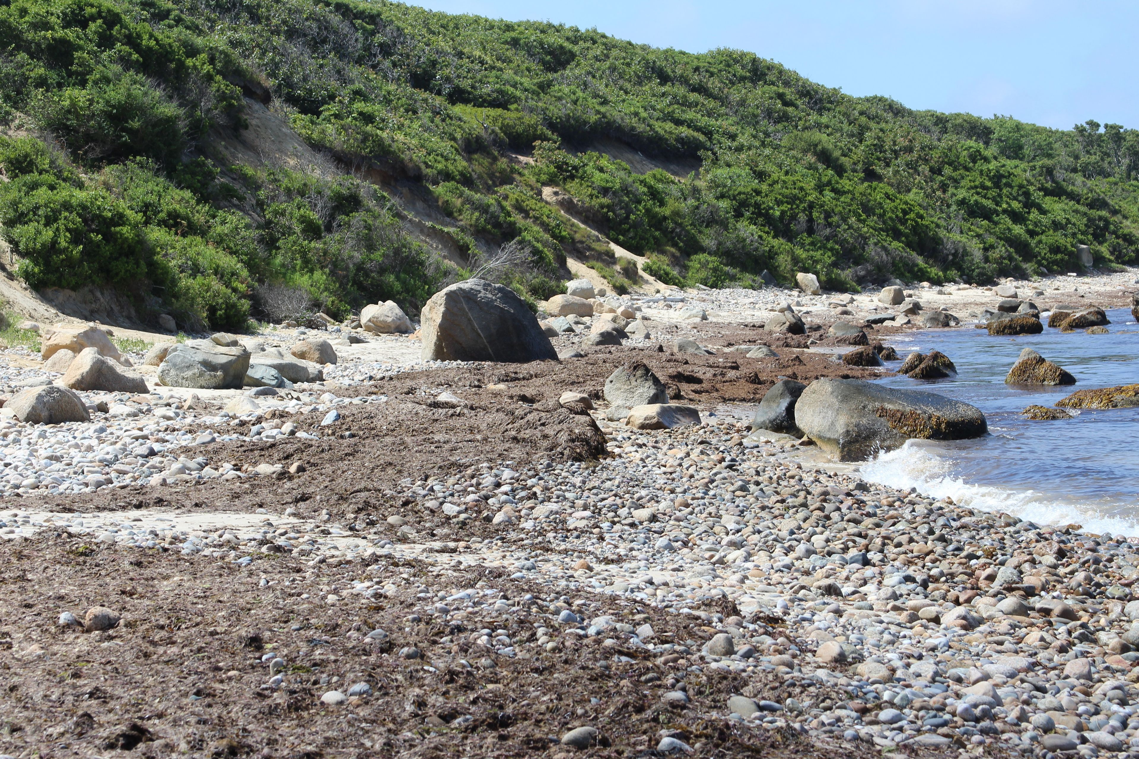 rocks and seaweed