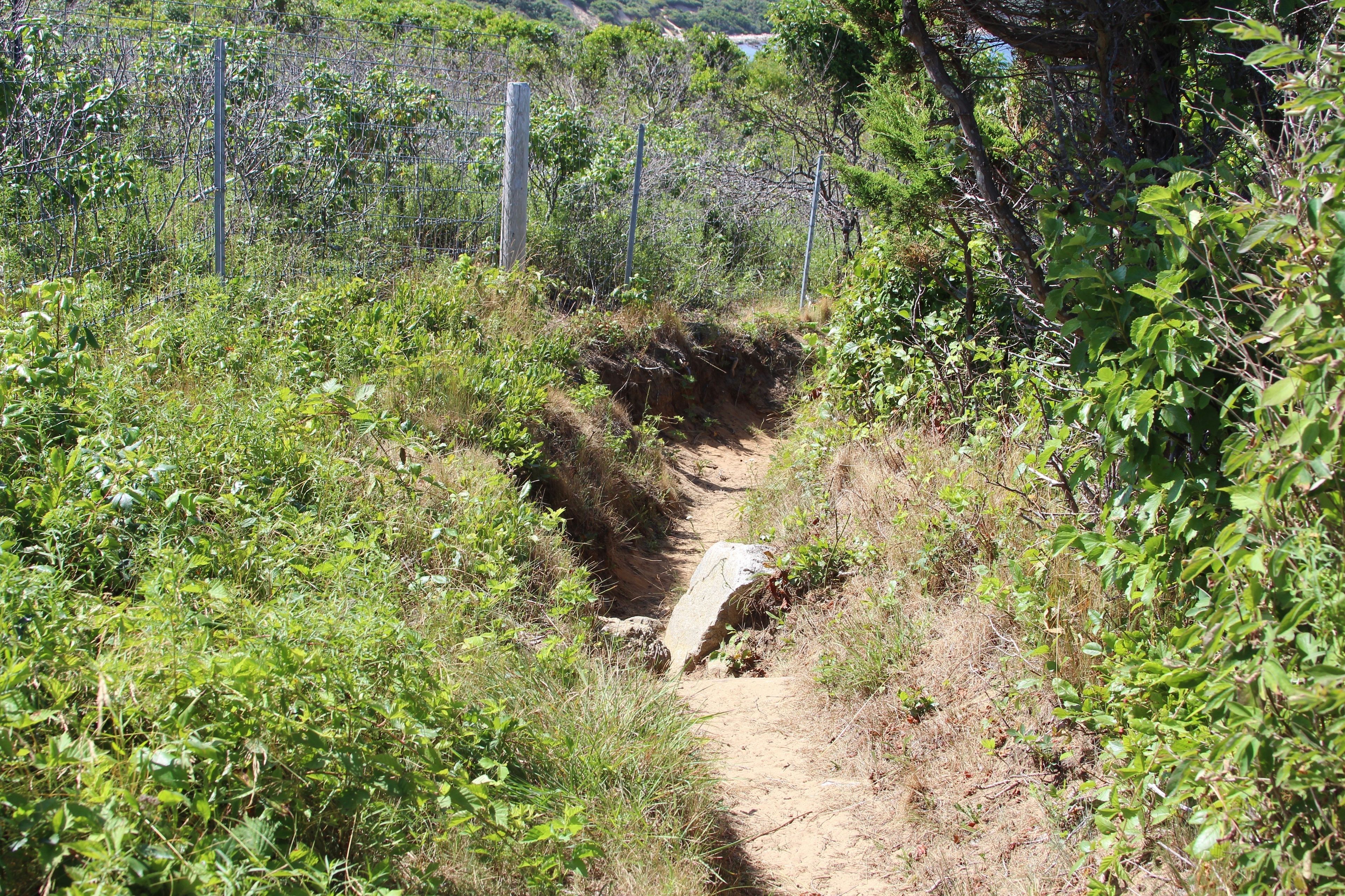 rocks along trail