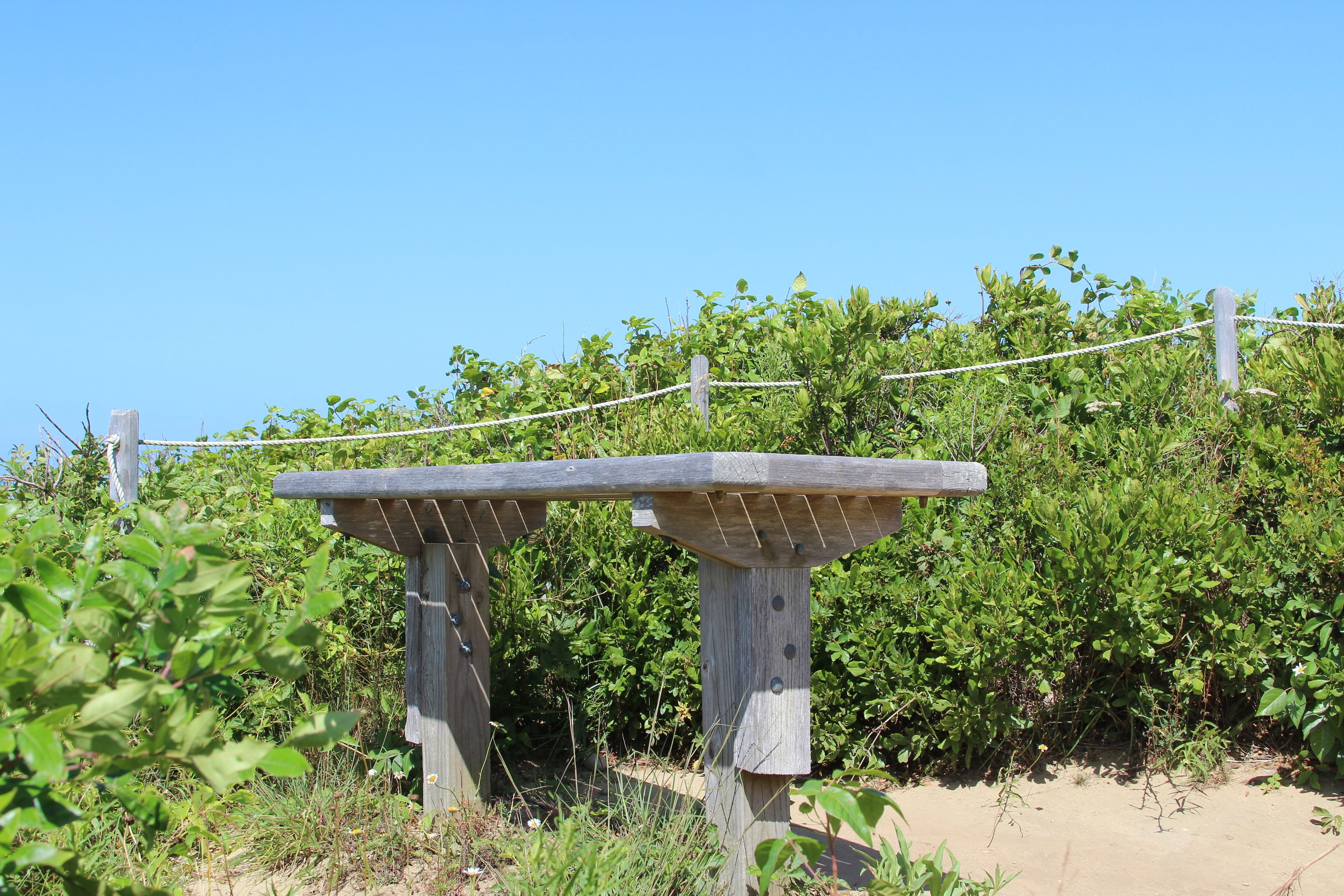 bench overlooking Sound