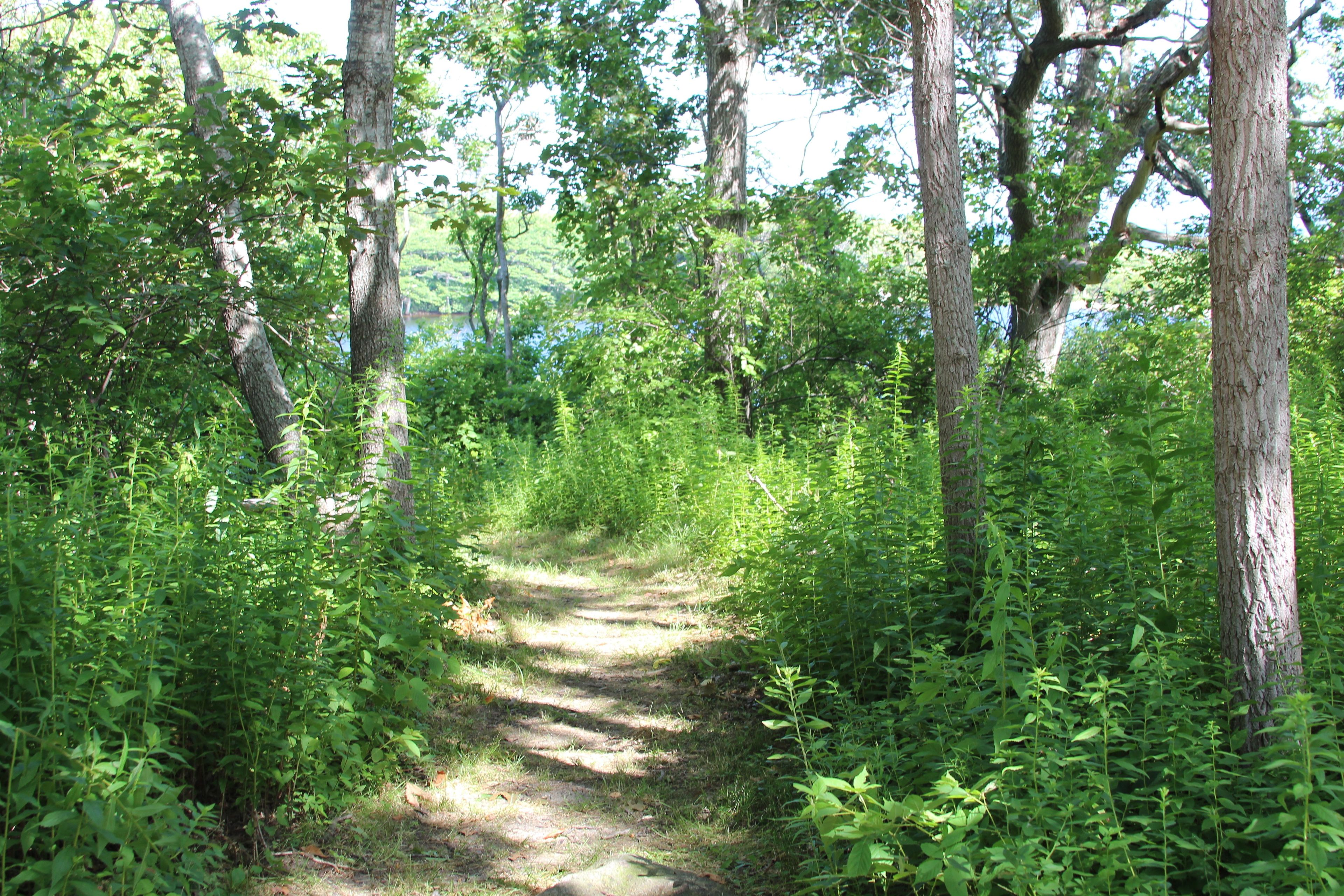 path to bench