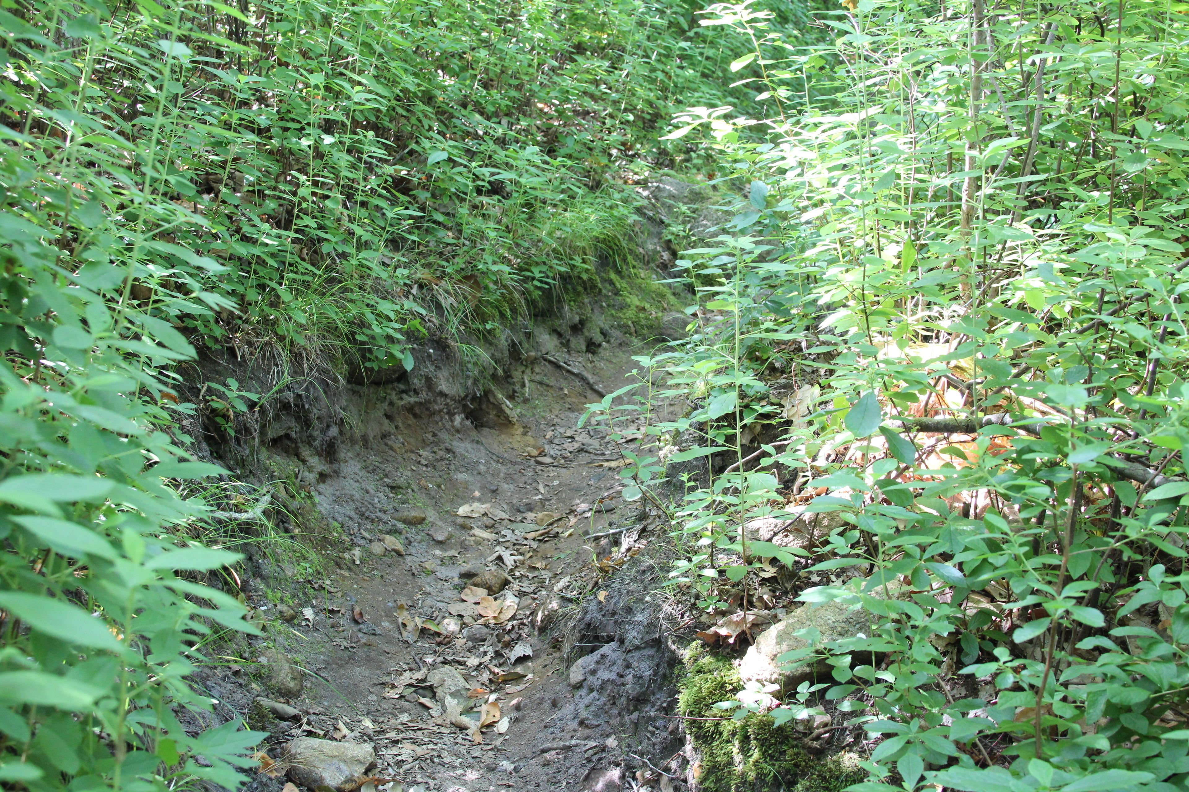 rocks along trail