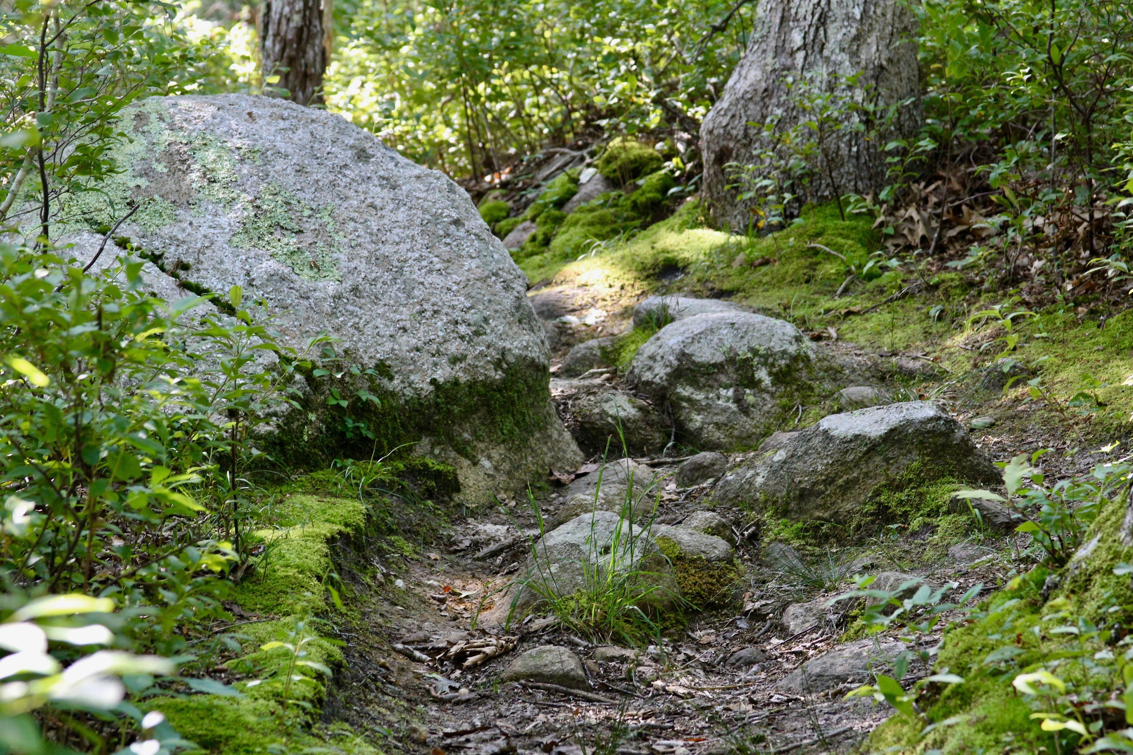 rocks along trail