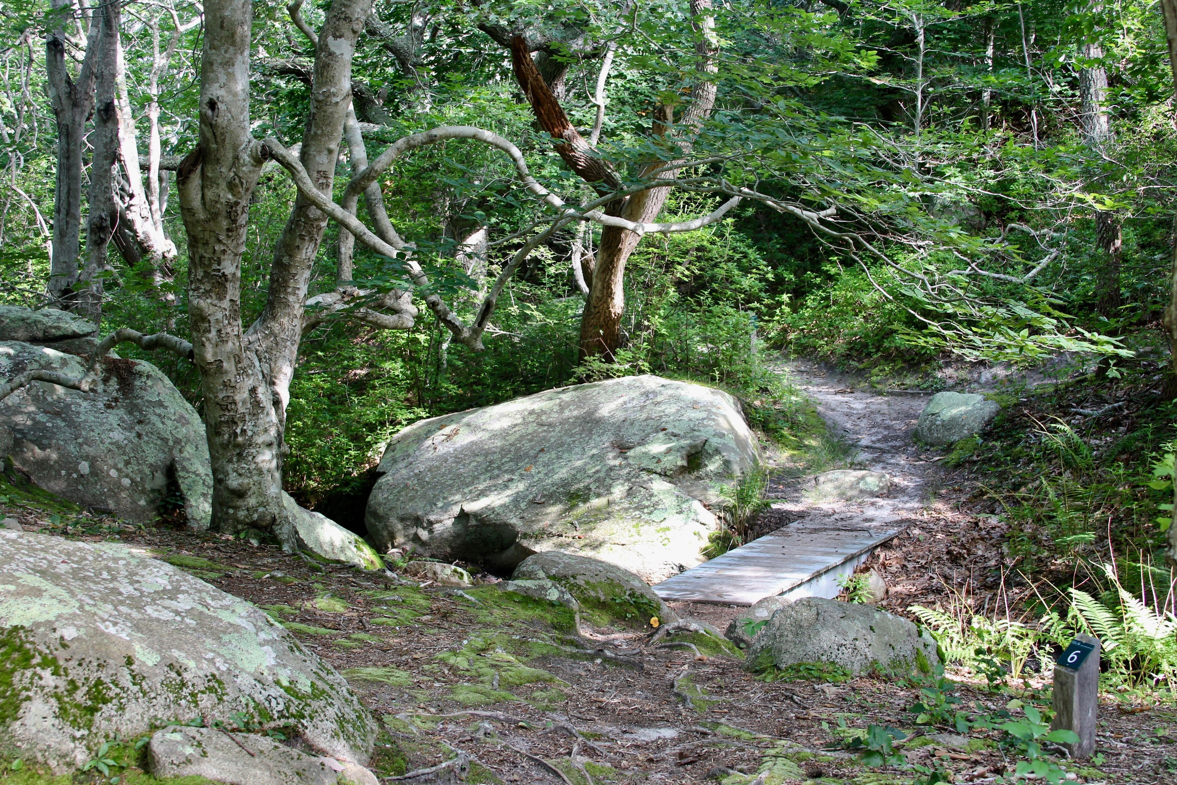 footbridge