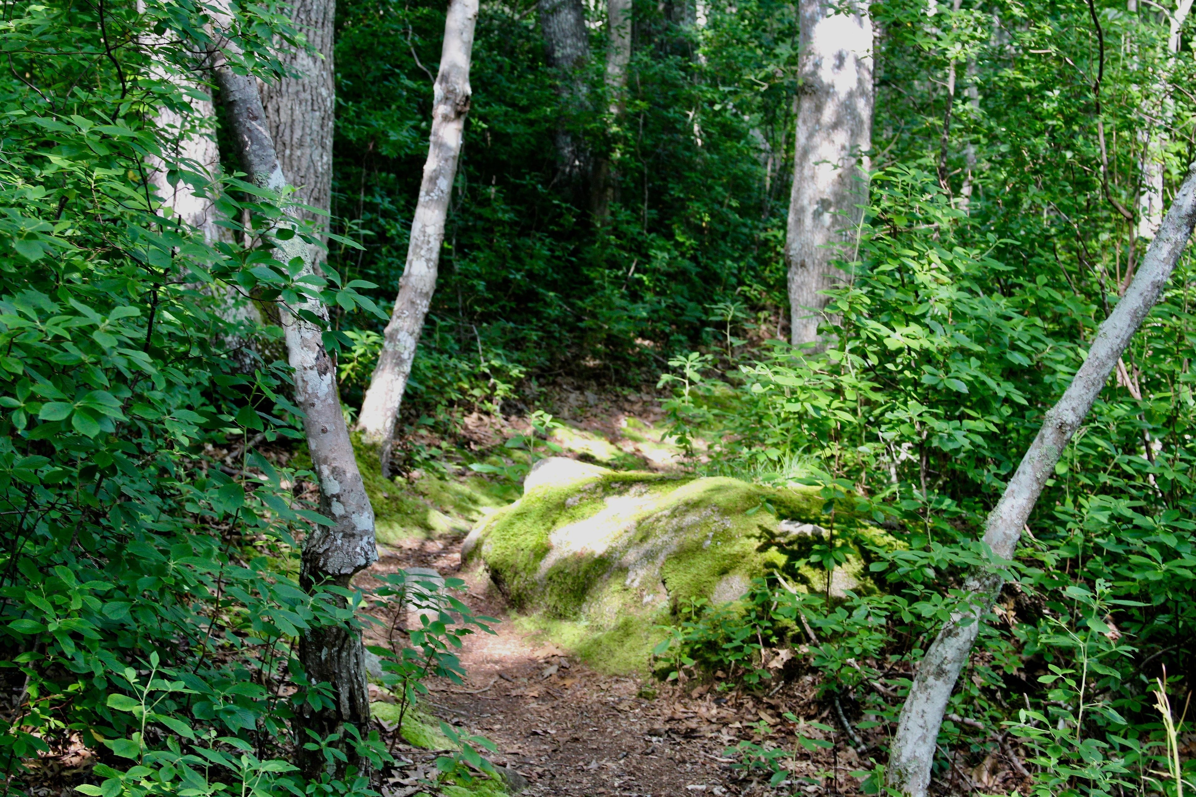 rocks along trail