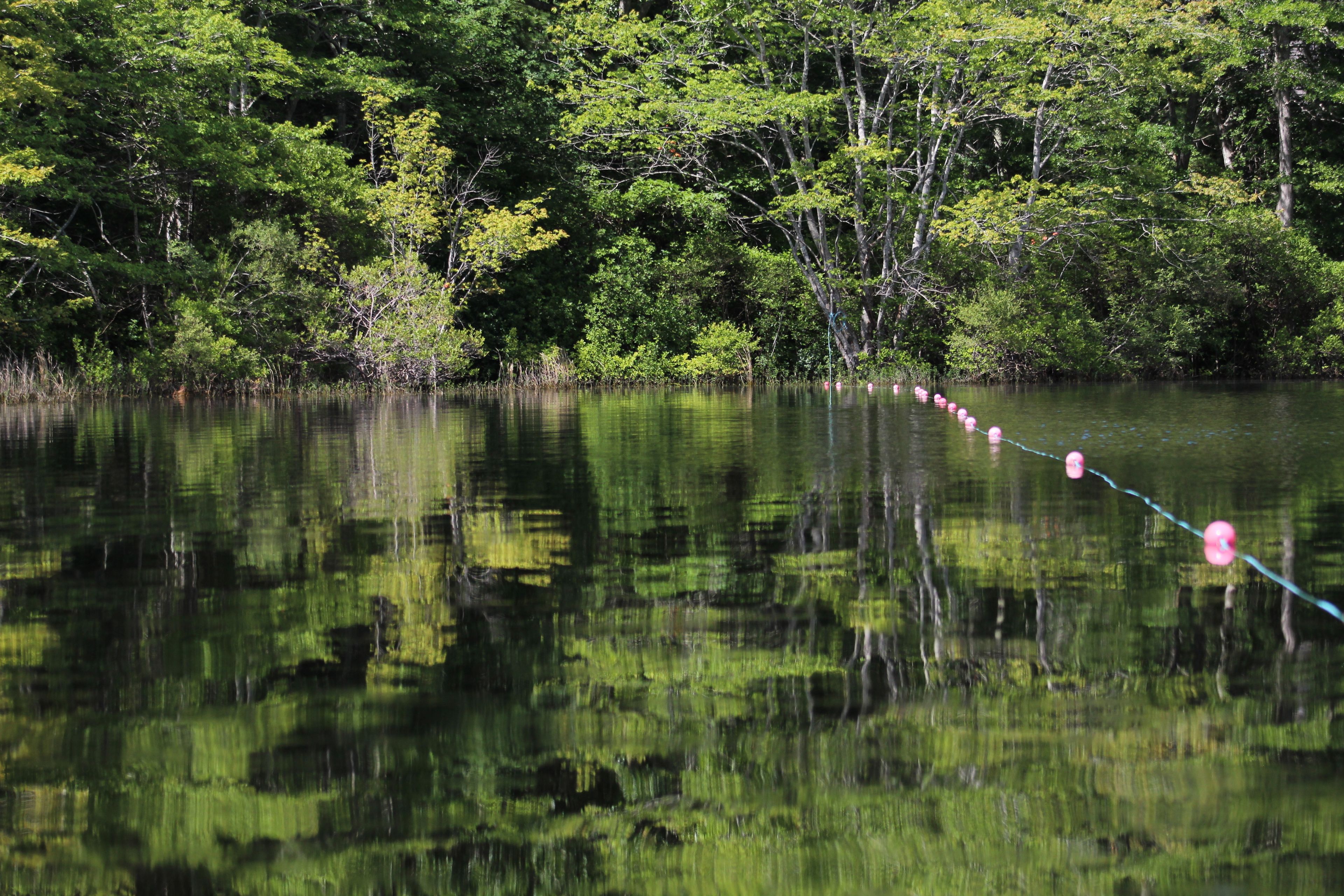 Ice House Pond