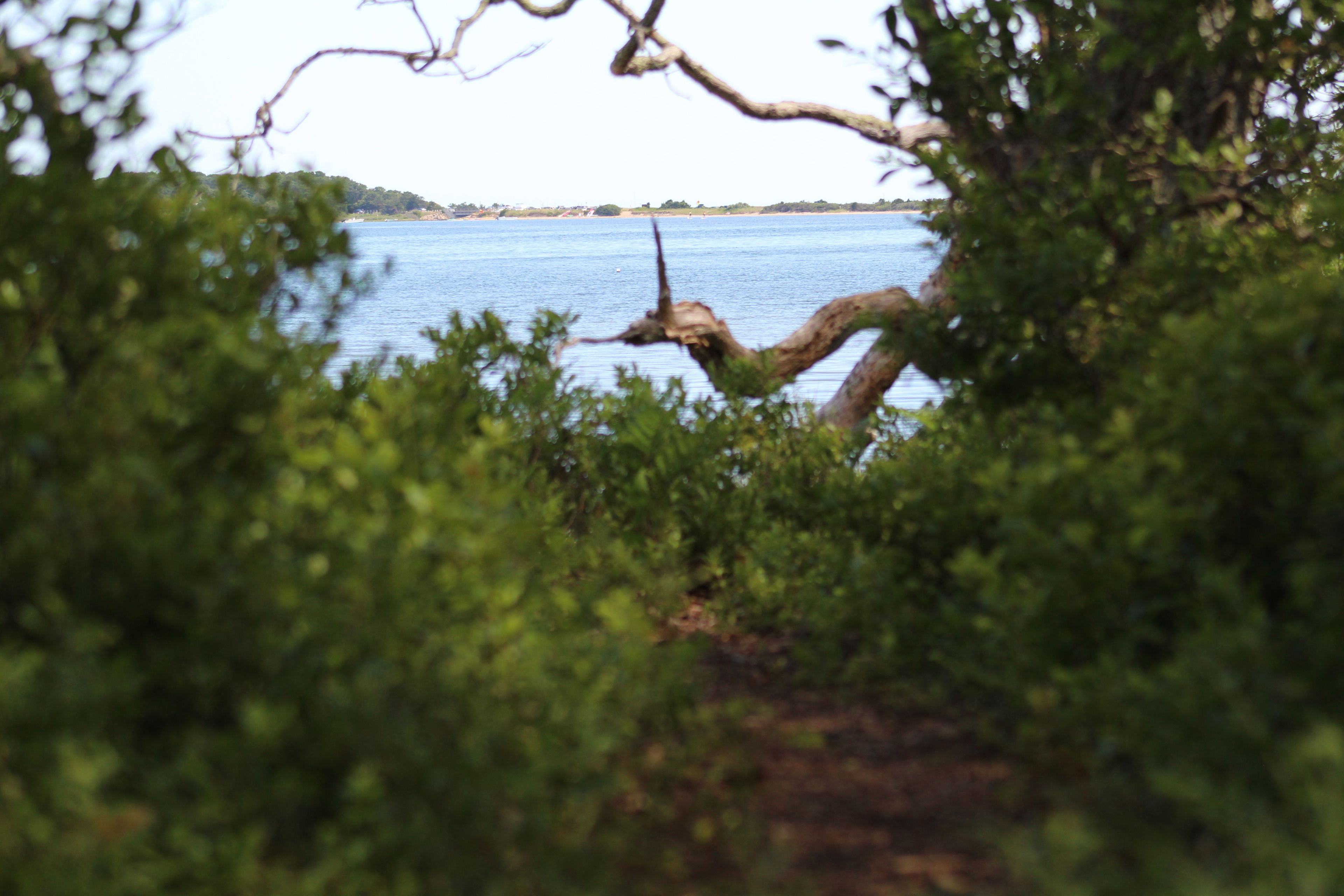 view from trail