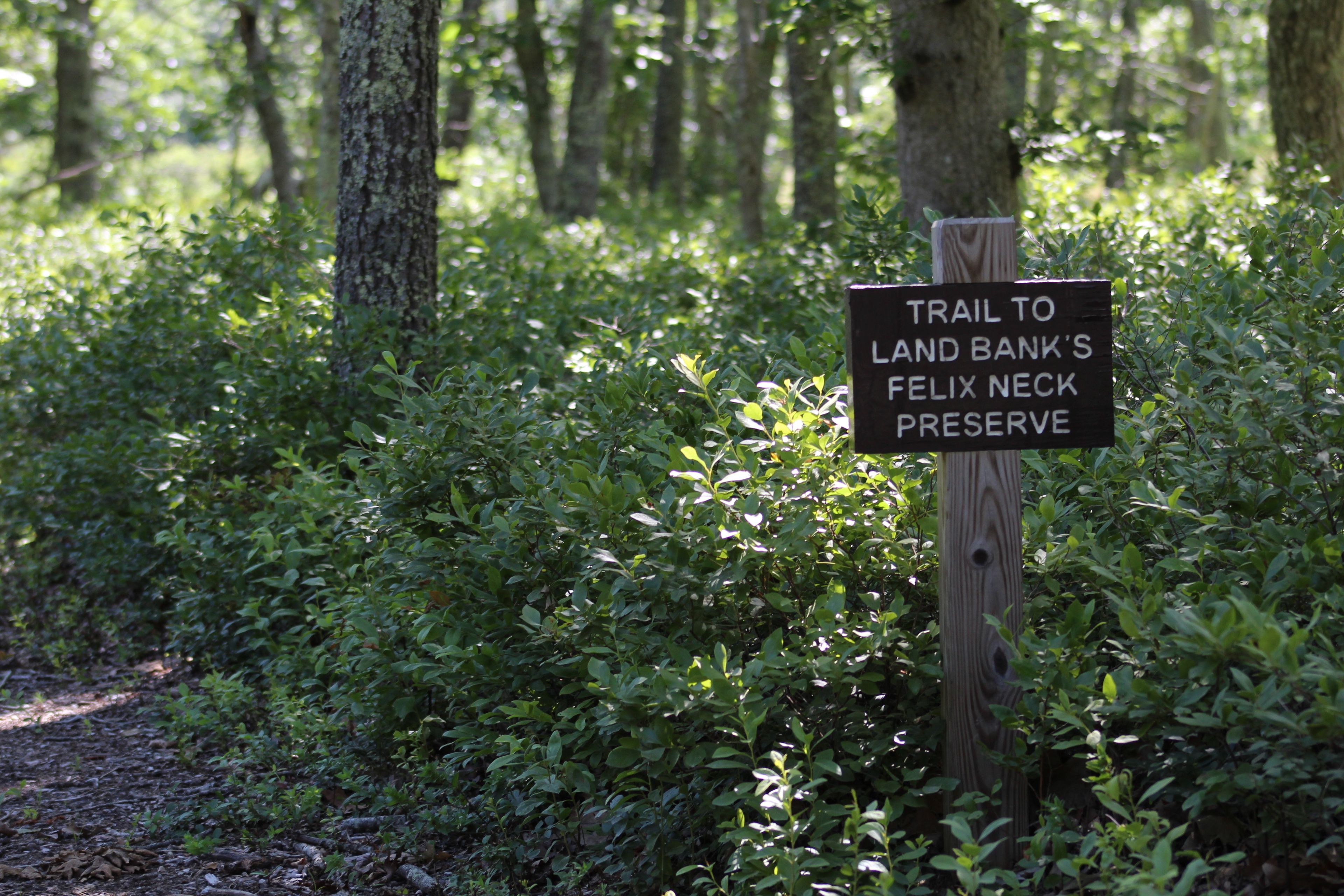 trail sign