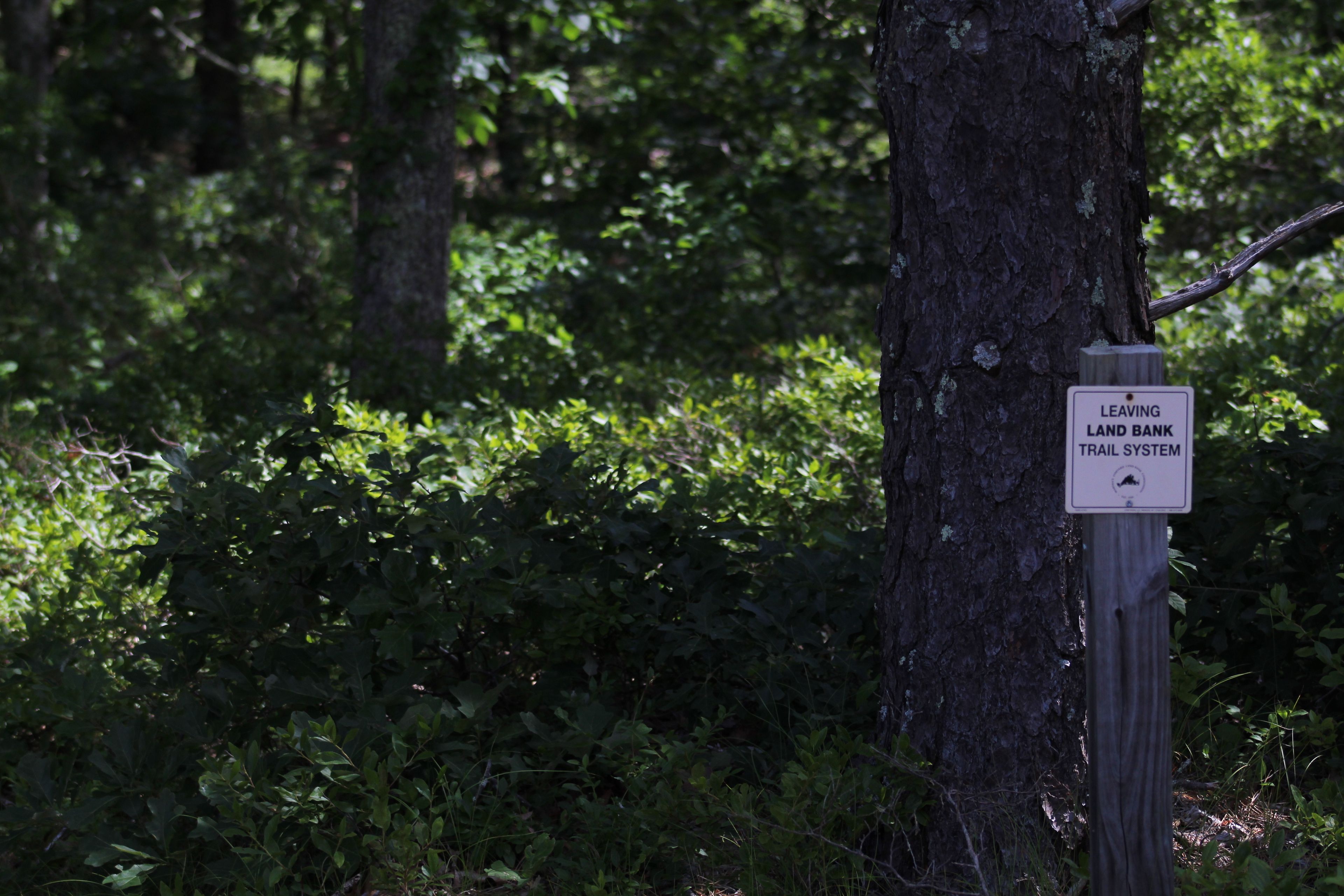 trail marking edge of property