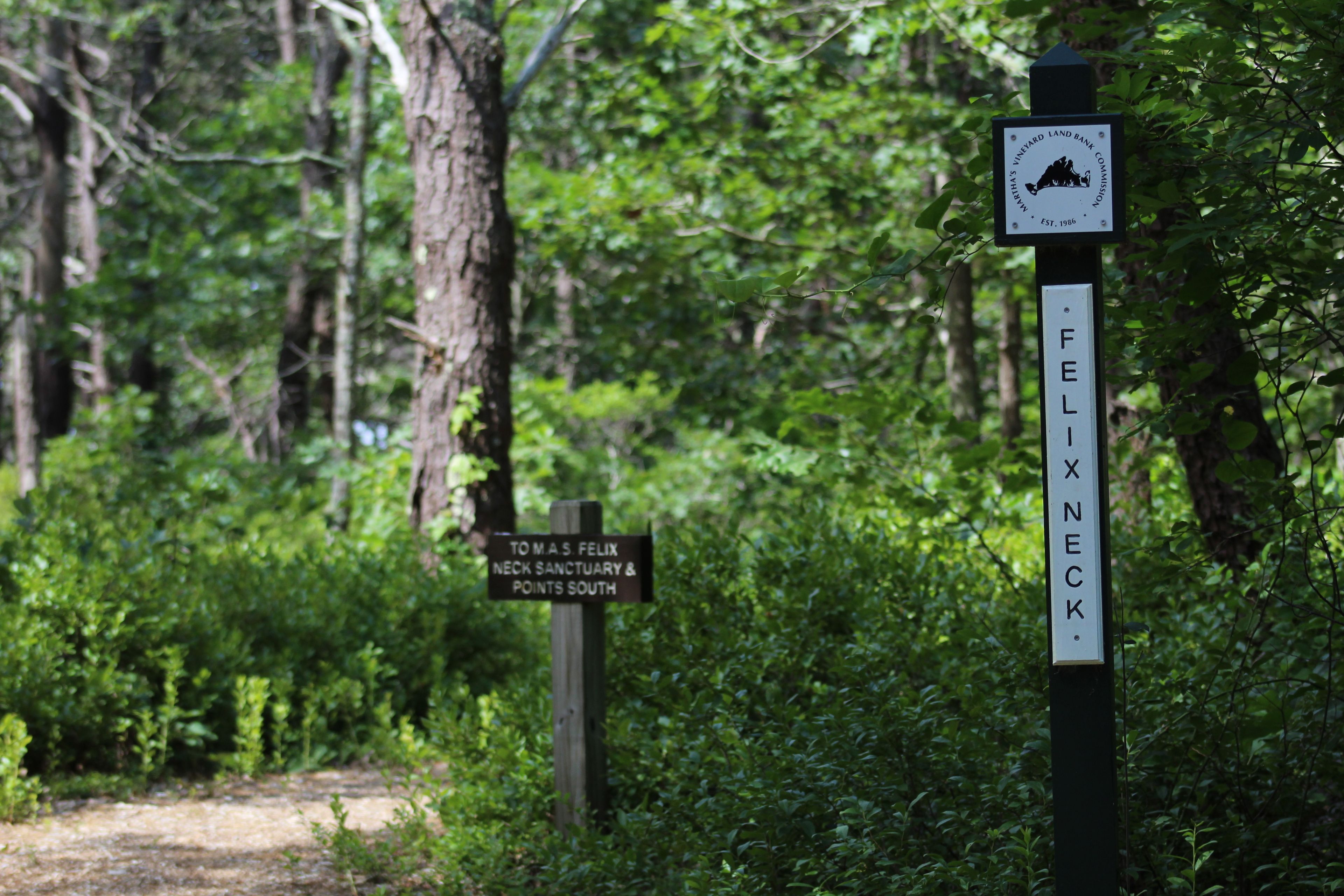 trail signs