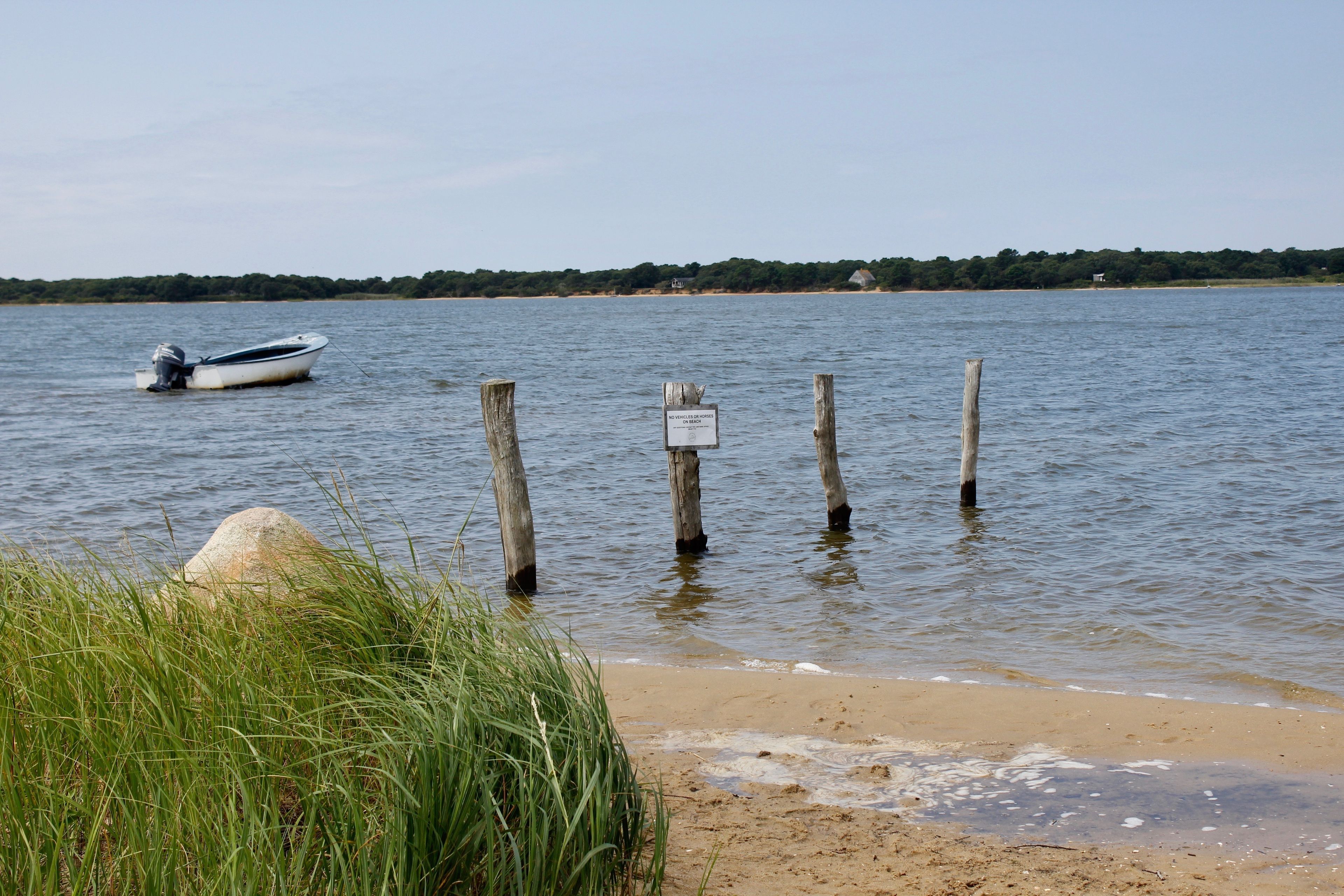 view of pond from boat launch