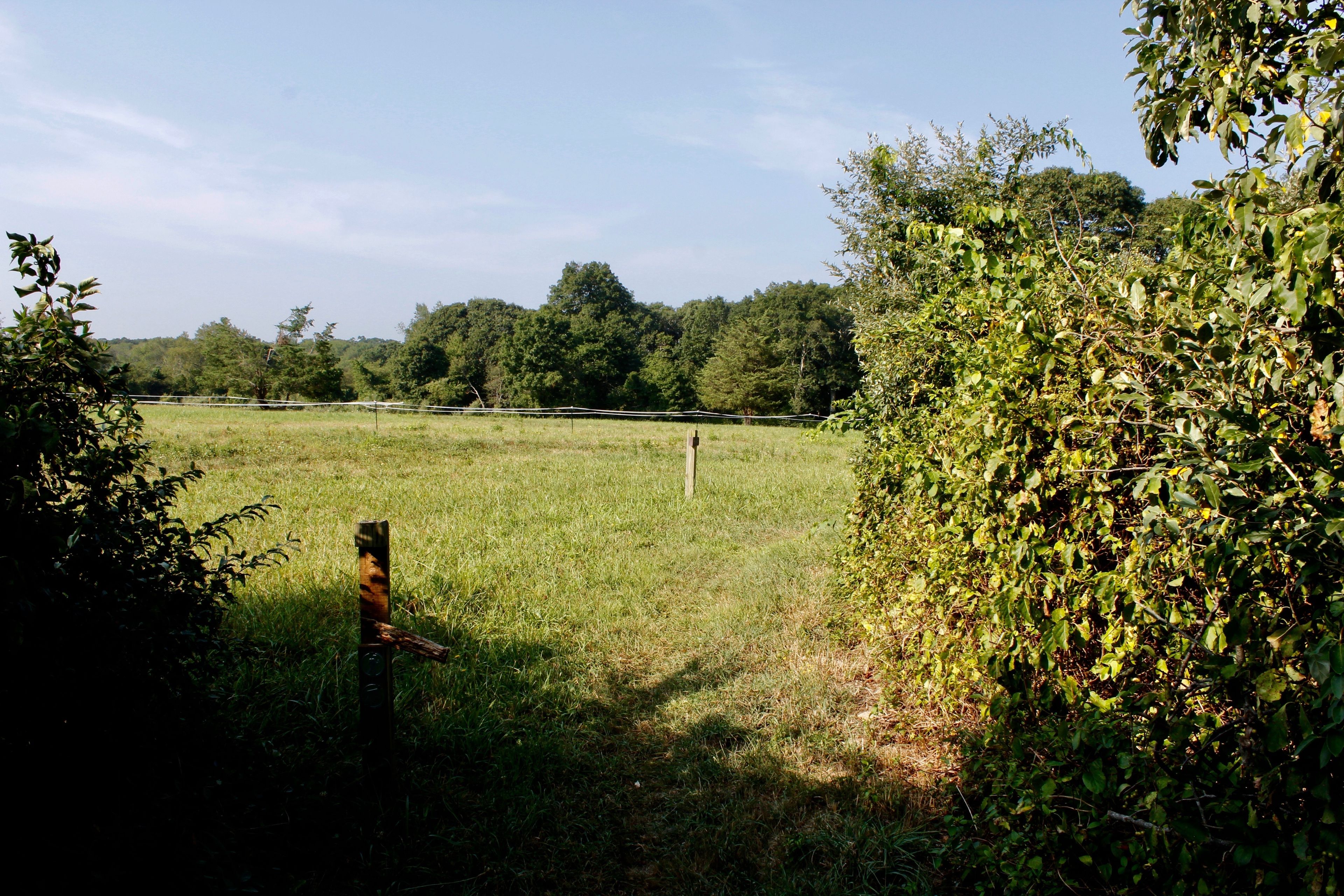 field view from trail