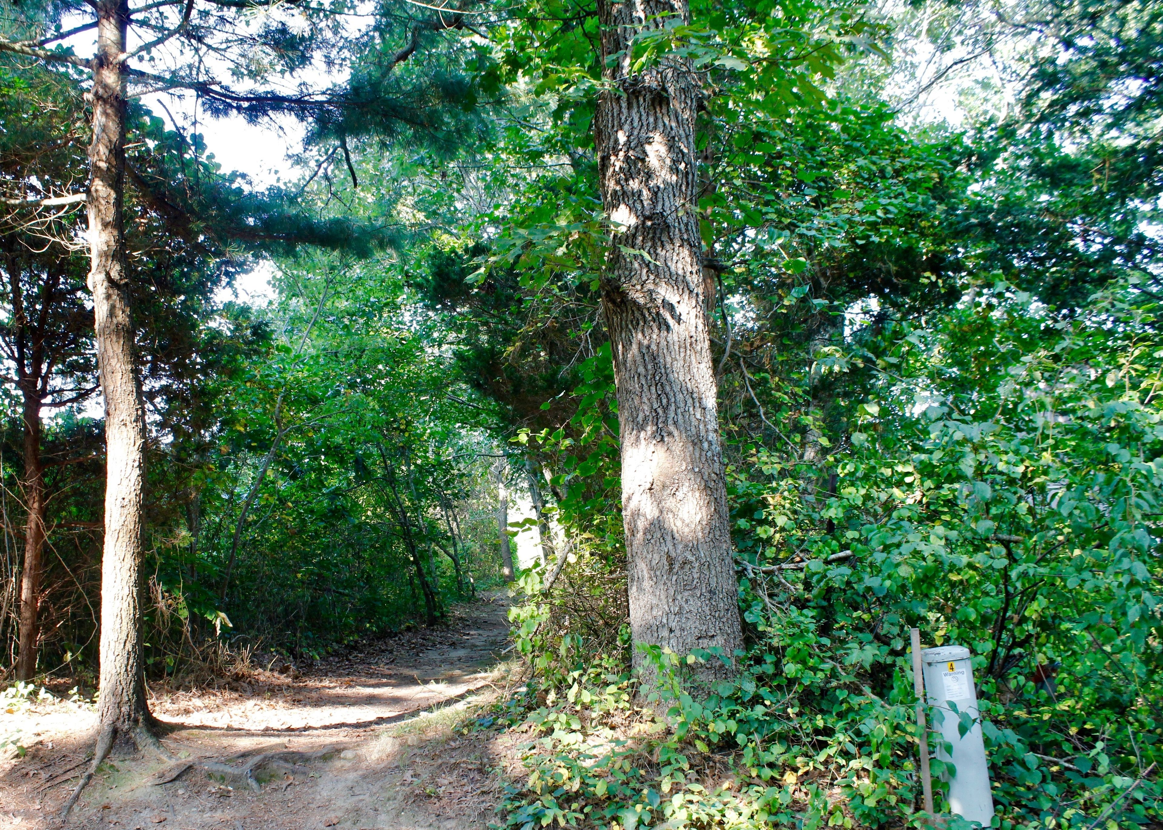 Entrance at Old Courthouse Road