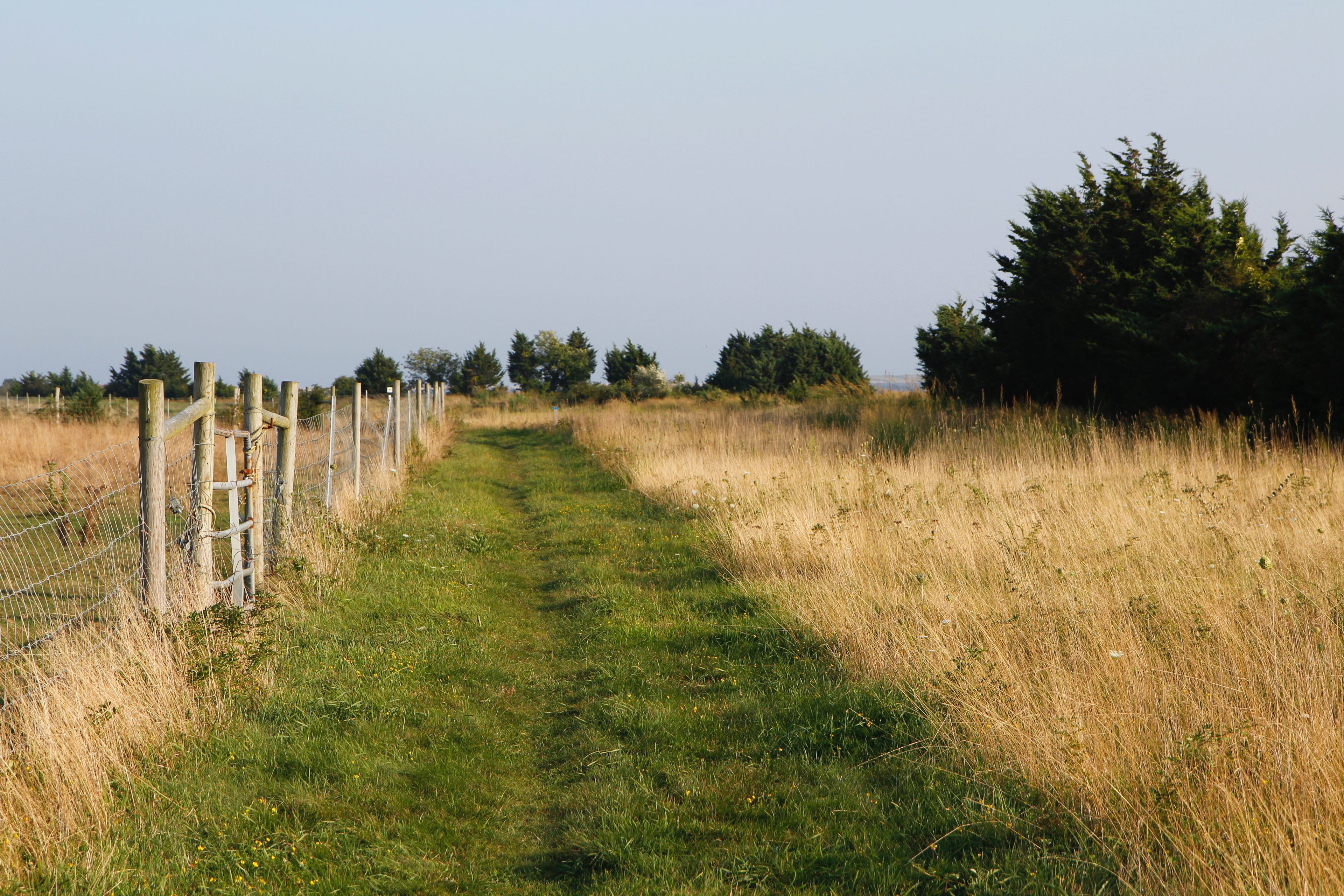 path alongside Pond and field