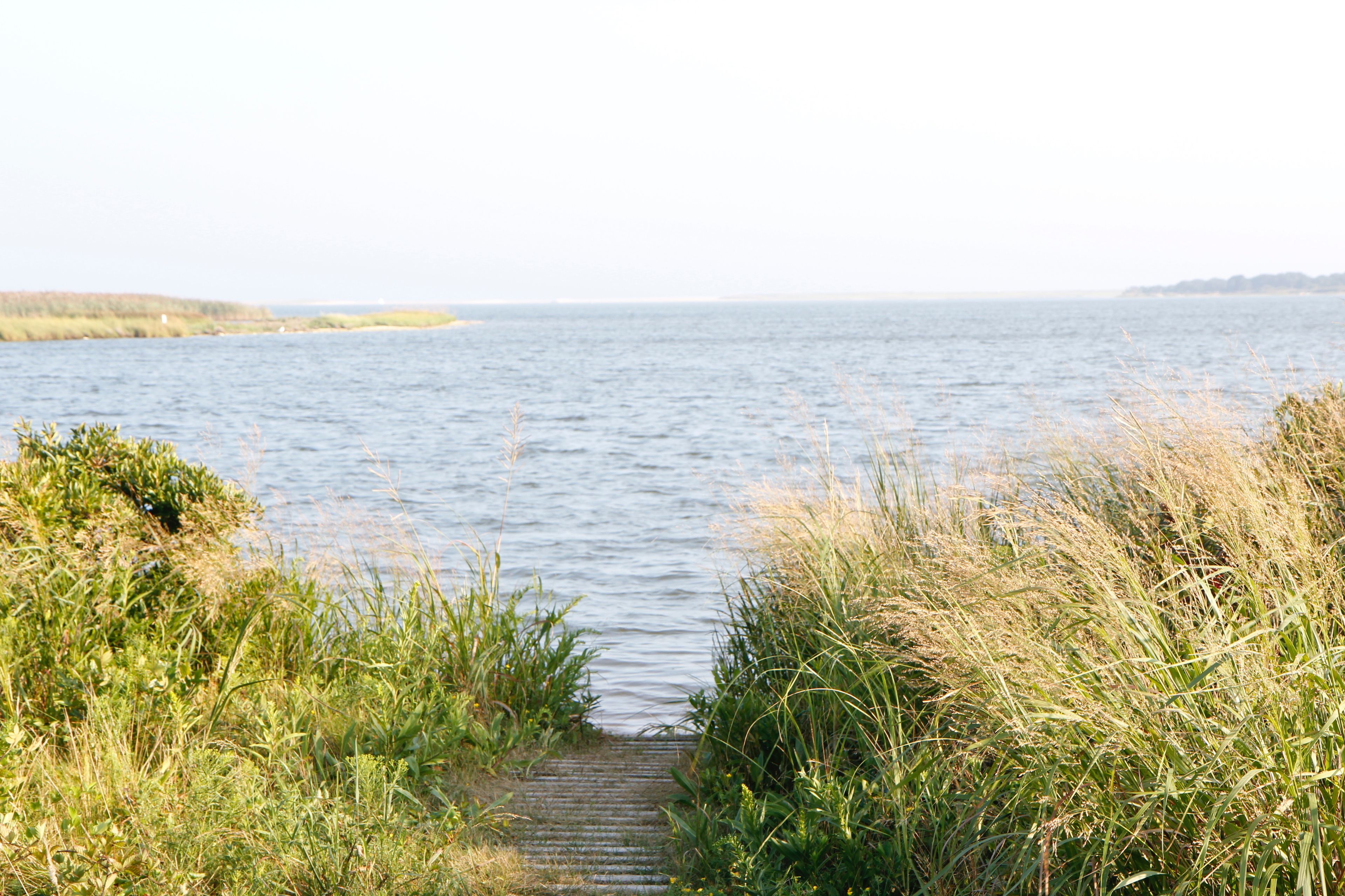 boardwalk leading to Tisbury Great Pond