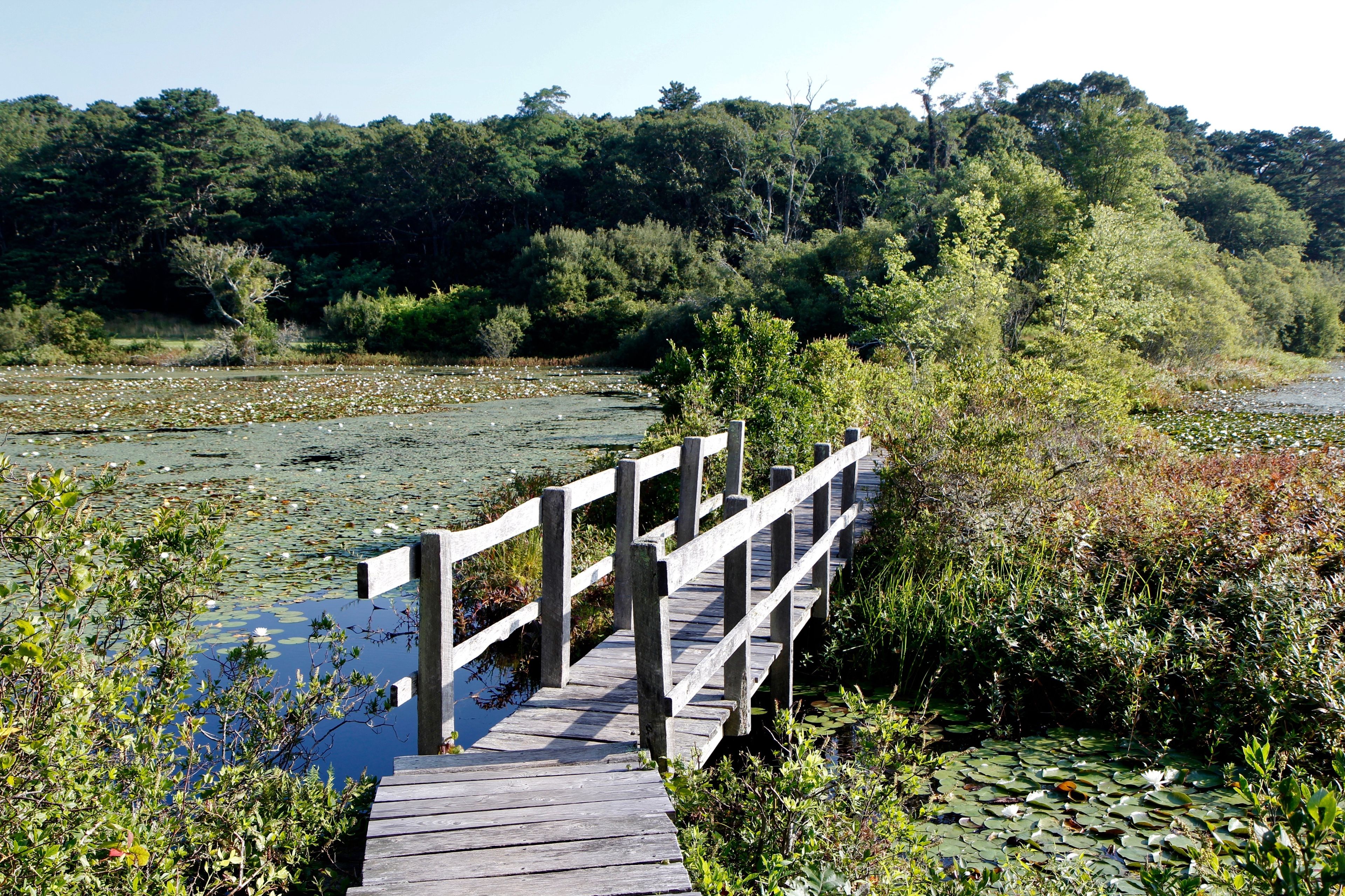 bridge along trail