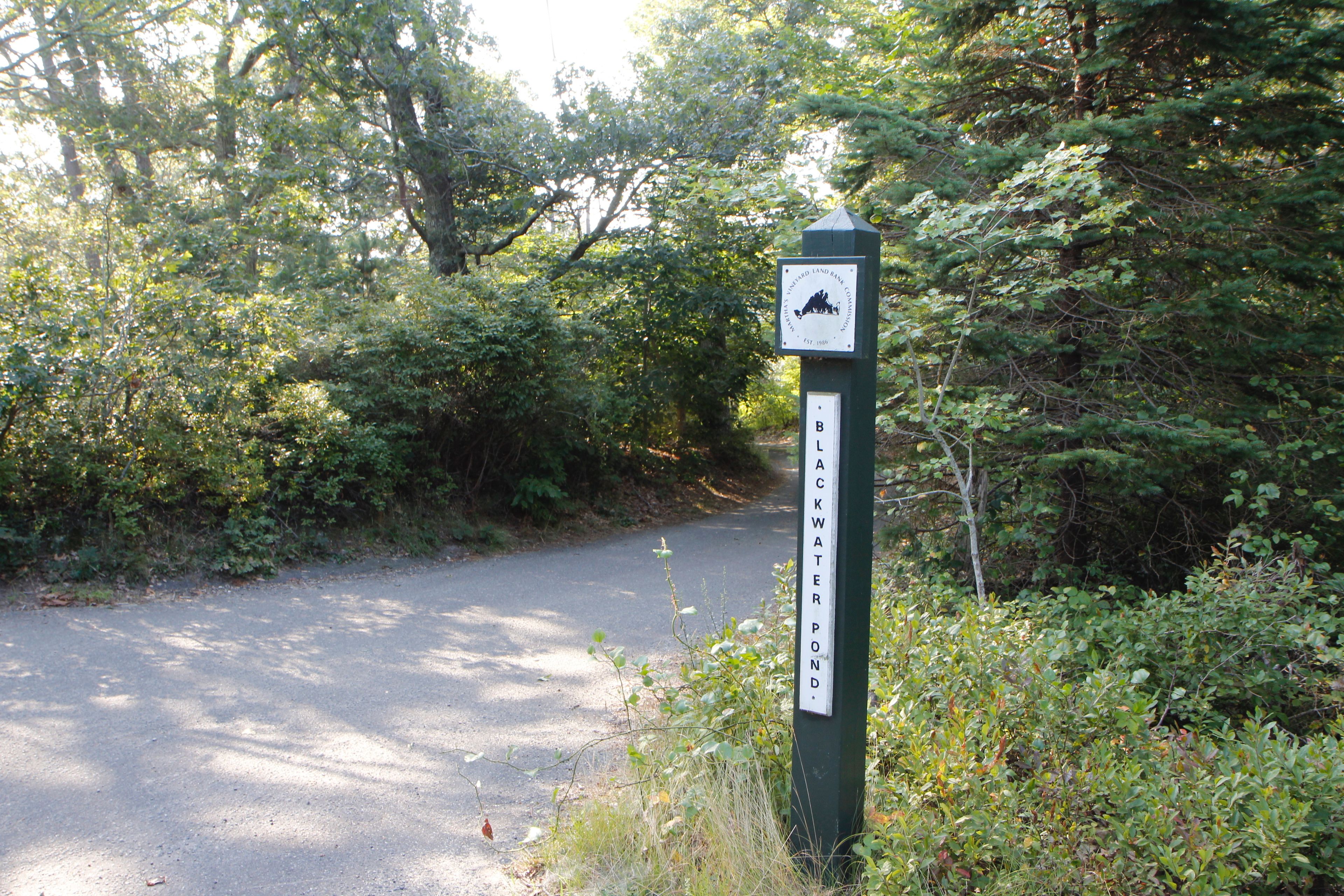 sign at Lambert's Cove Road